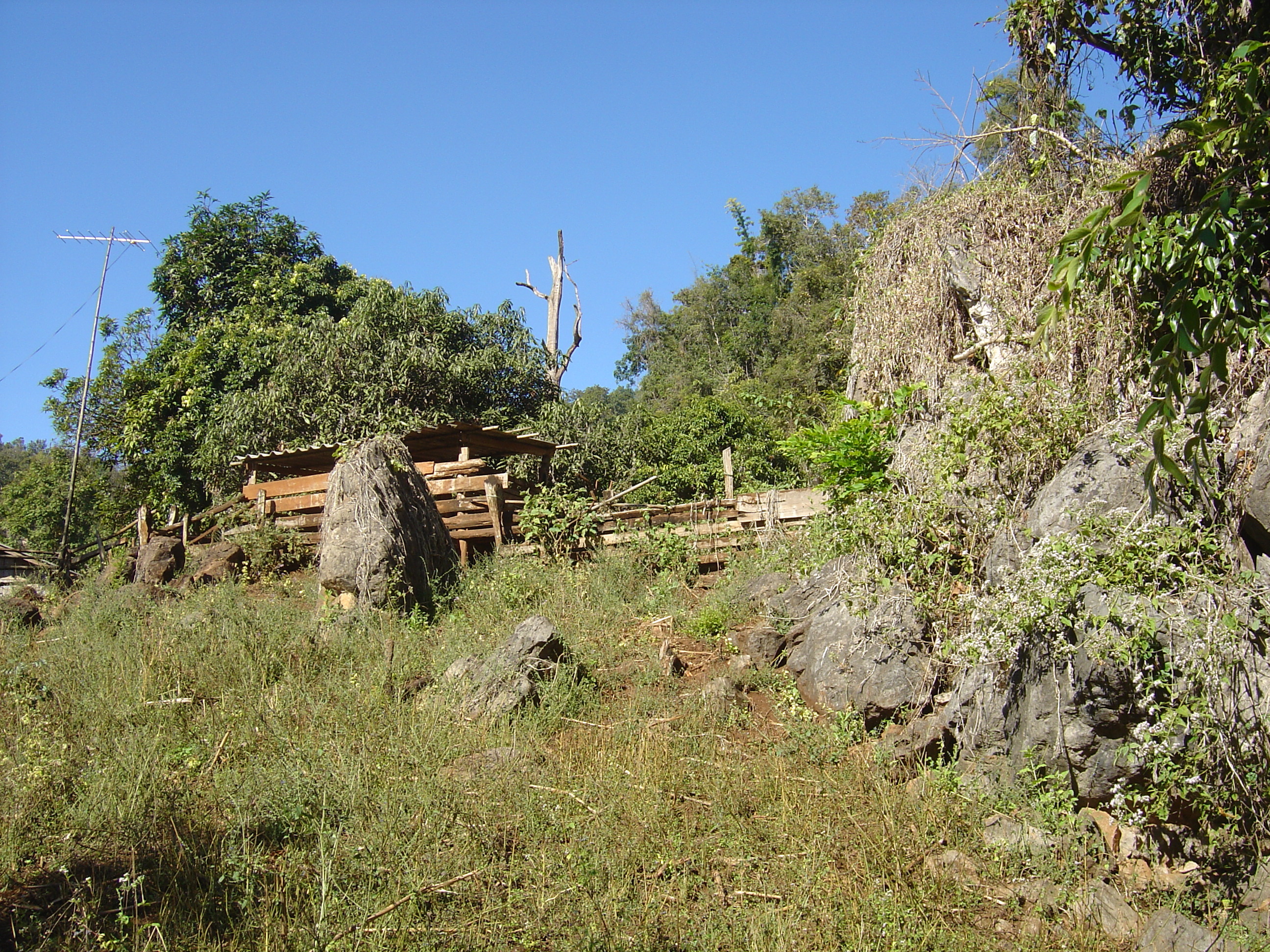 Picture Thailand Pang ma pha 2005-12 83 - Tour Pang ma pha