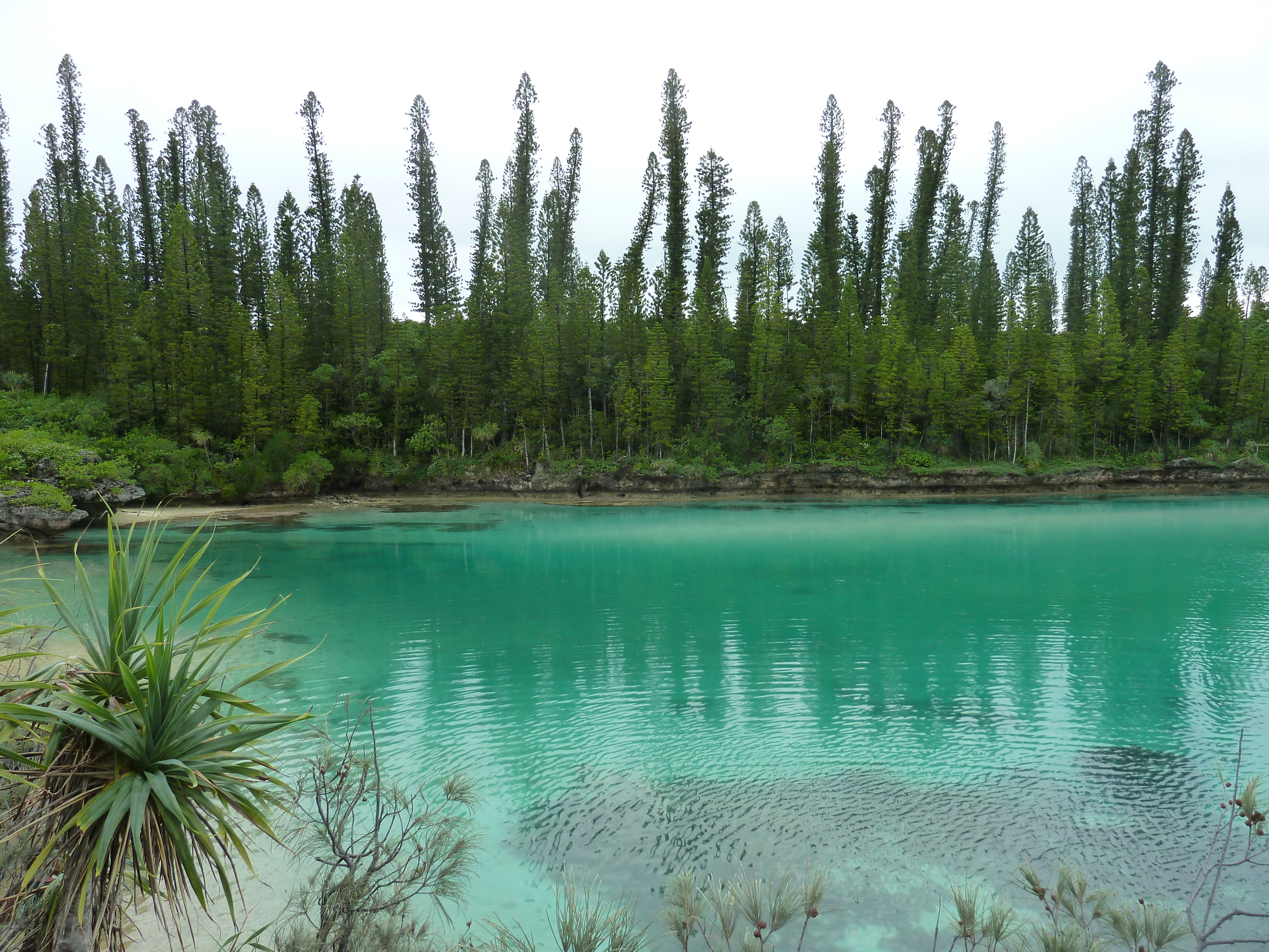 Picture New Caledonia 2010-05 65 - Tours New Caledonia