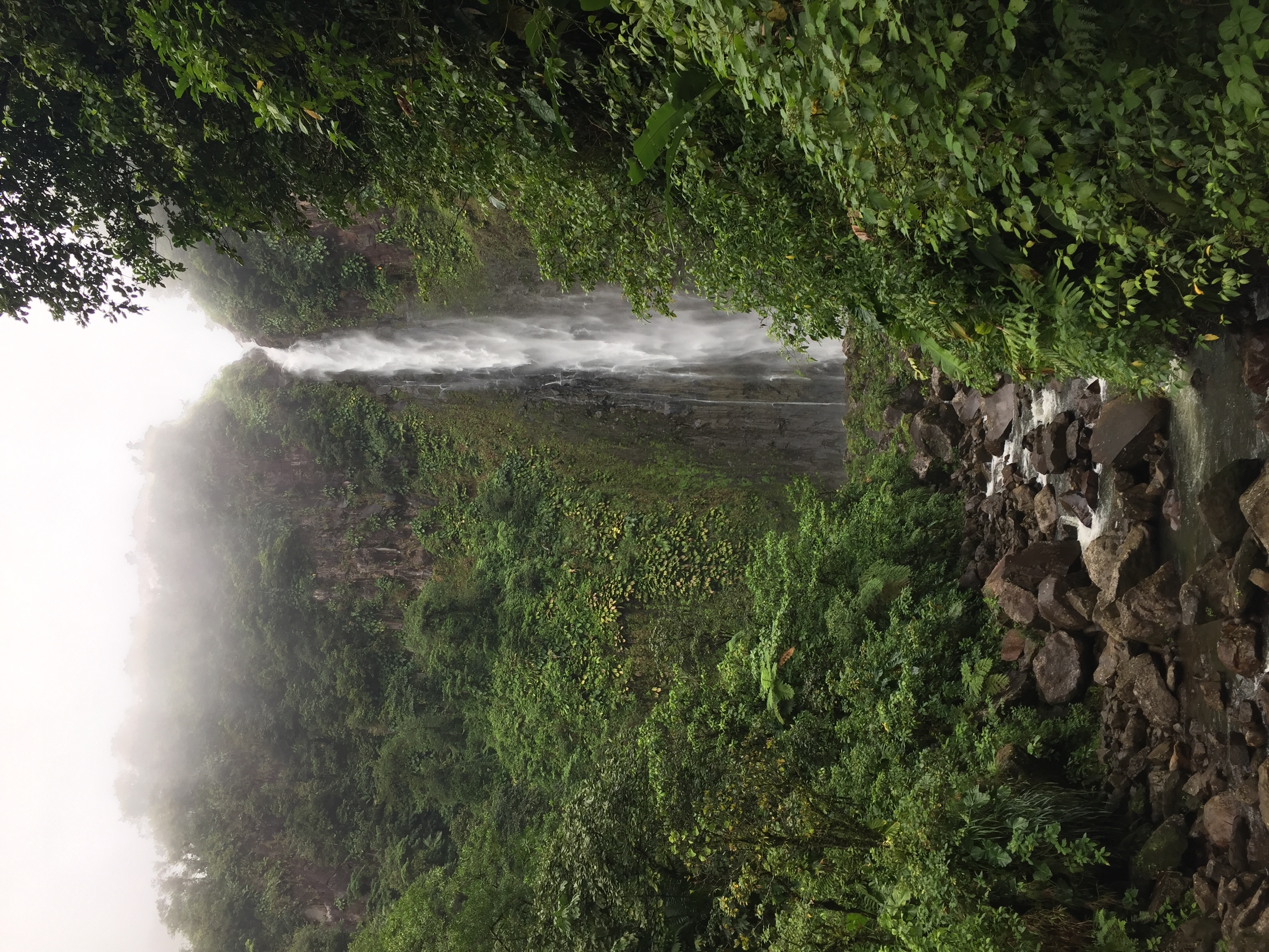 Picture Guadeloupe Carbet Falls 2021-02 59 - Discovery Carbet Falls