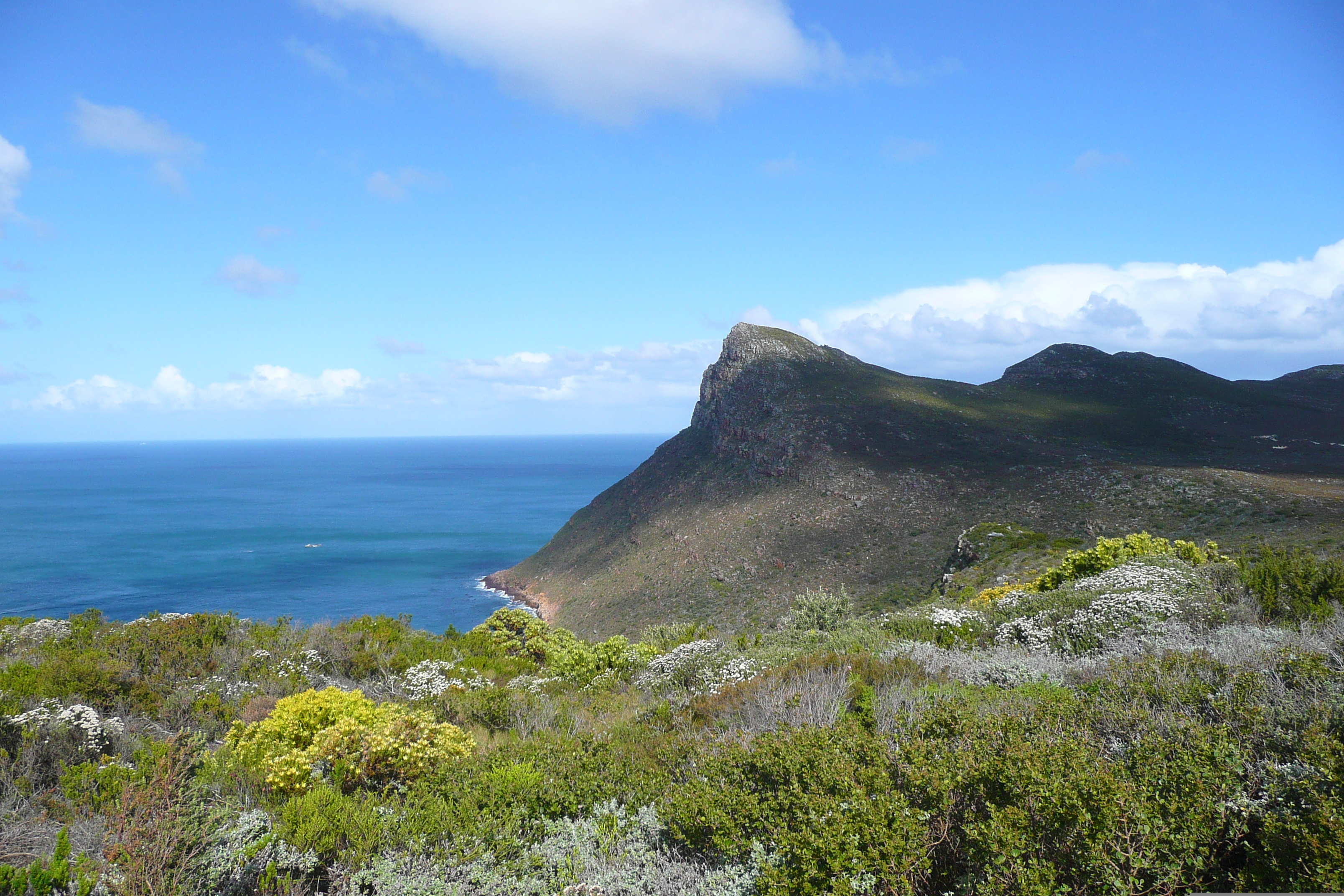 Picture South Africa Cape of Good Hope Cape Point 2008-09 46 - Discovery Cape Point