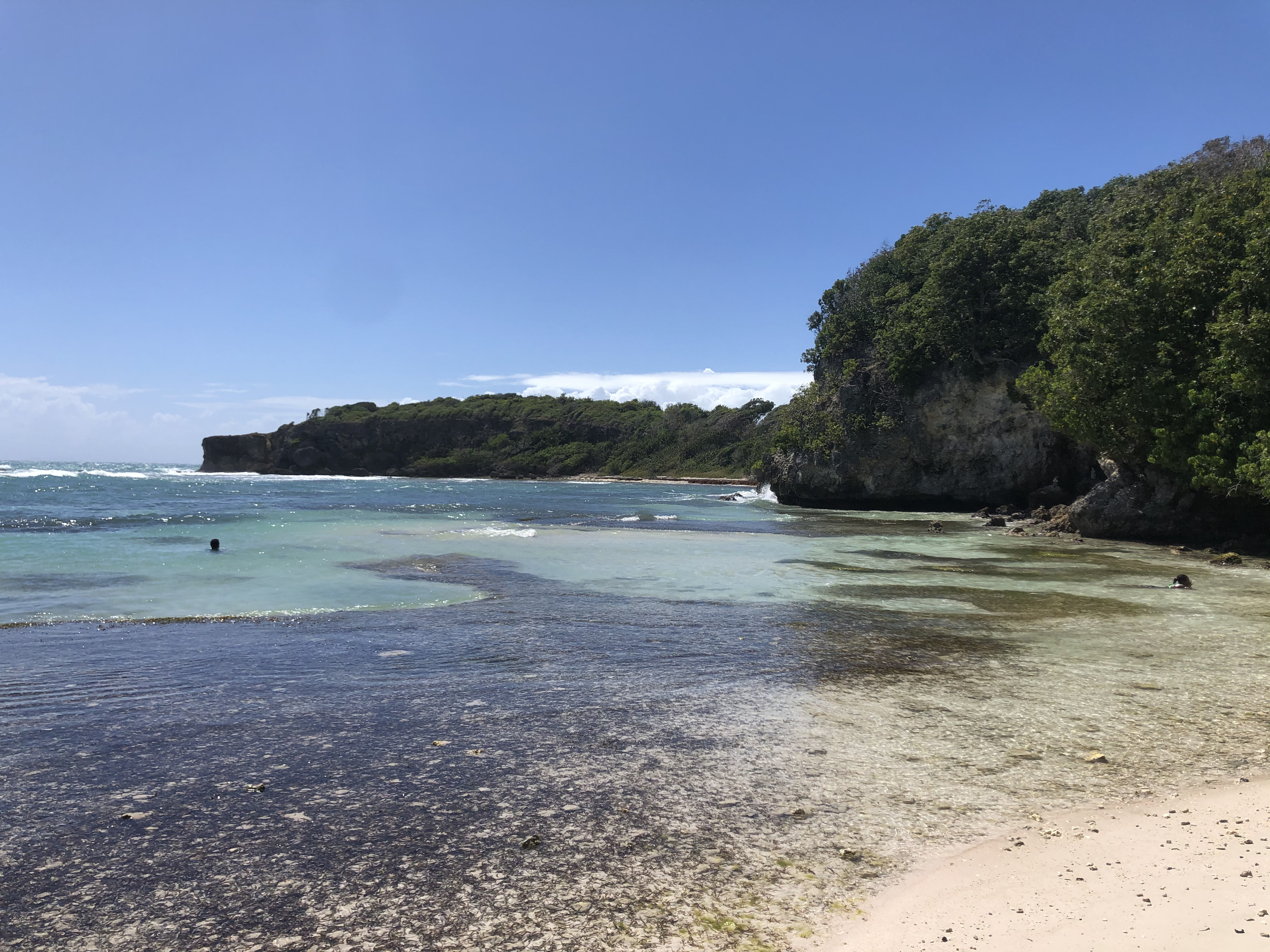 Picture Guadeloupe Castle Point 2021-02 348 - Tour Castle Point