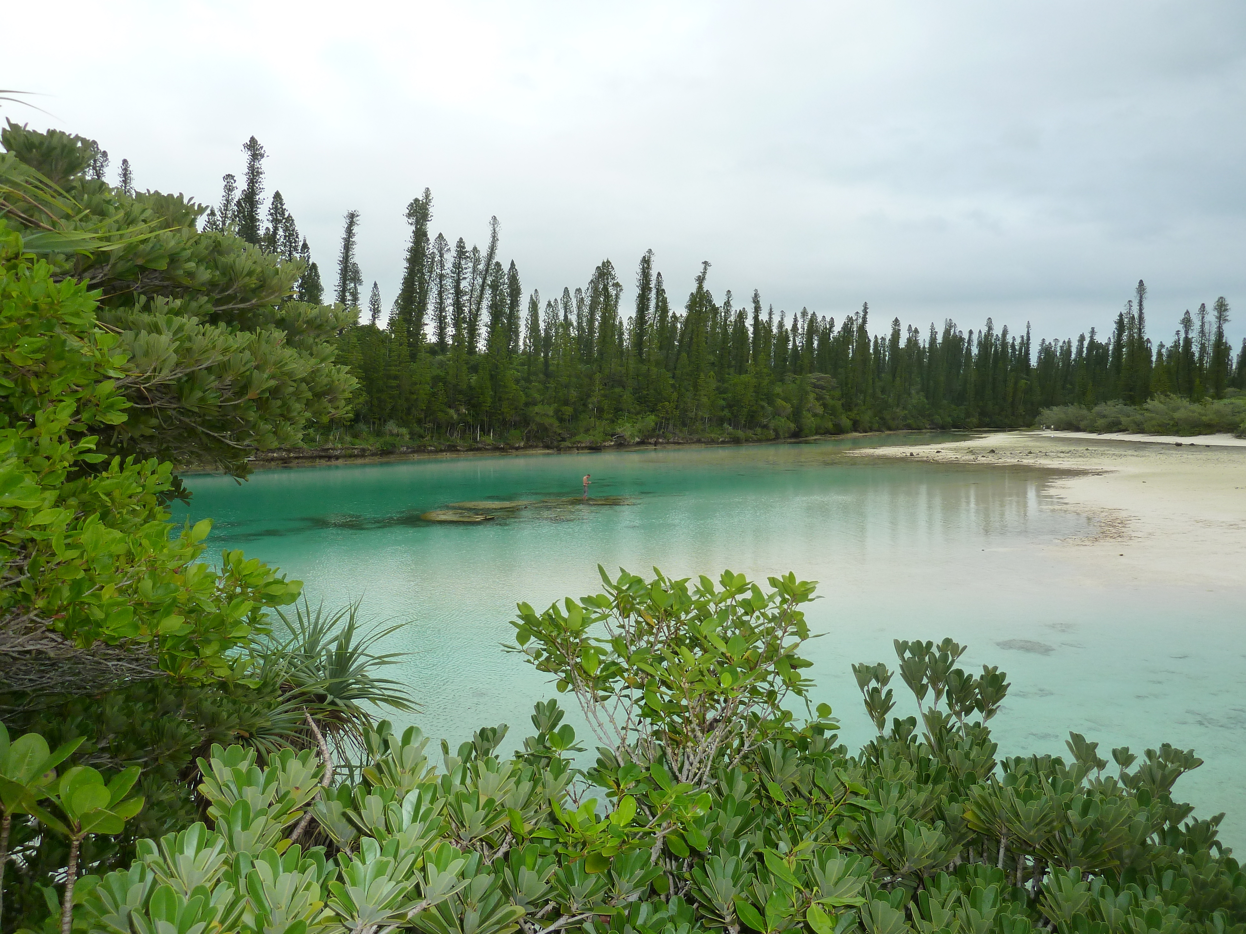 Picture New Caledonia Ile des pins Oro Bay 2010-05 46 - Tours Oro Bay