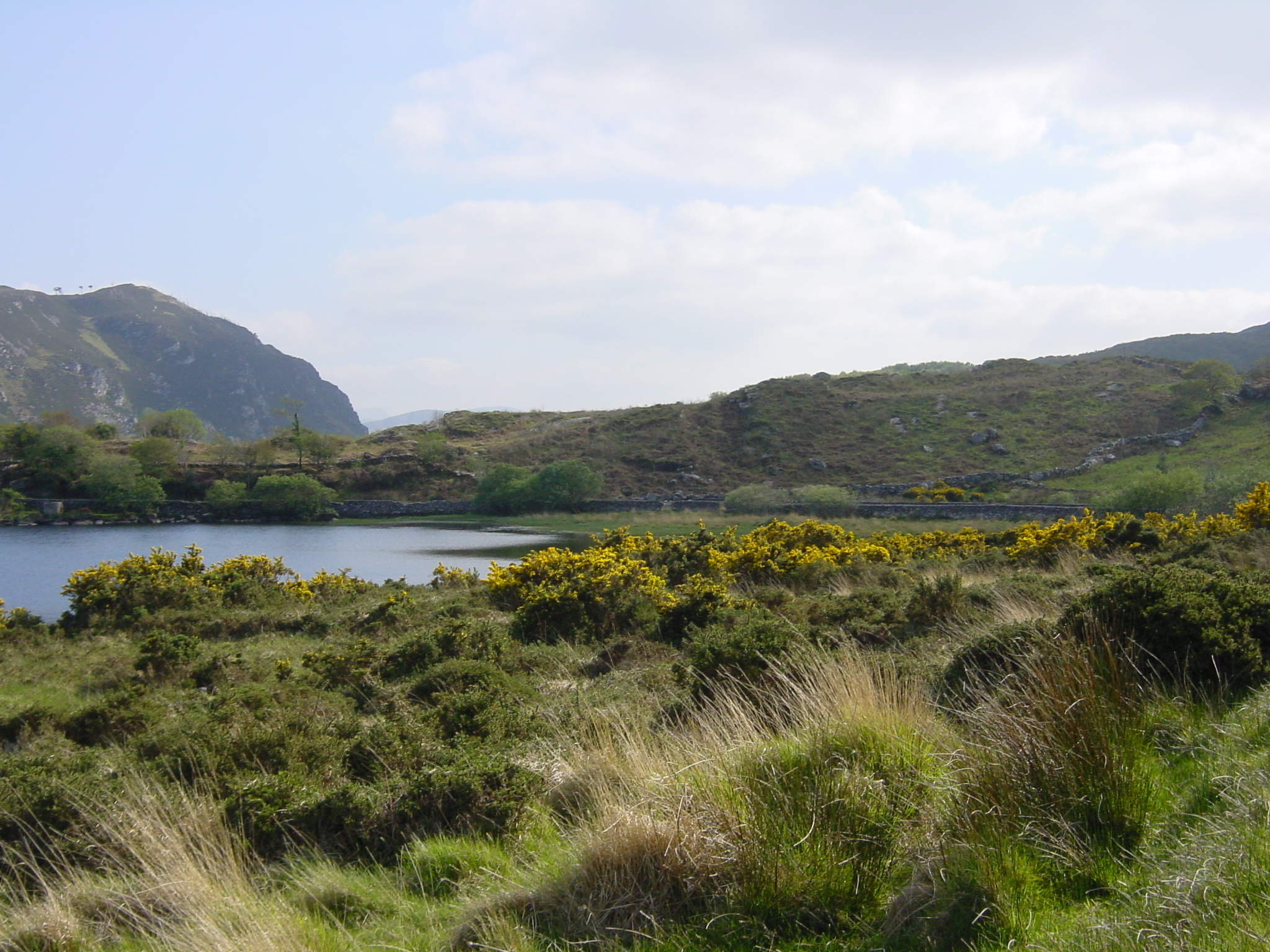 Picture Ireland Kerry Caragh Lake 2004-05 42 - Journey Caragh Lake