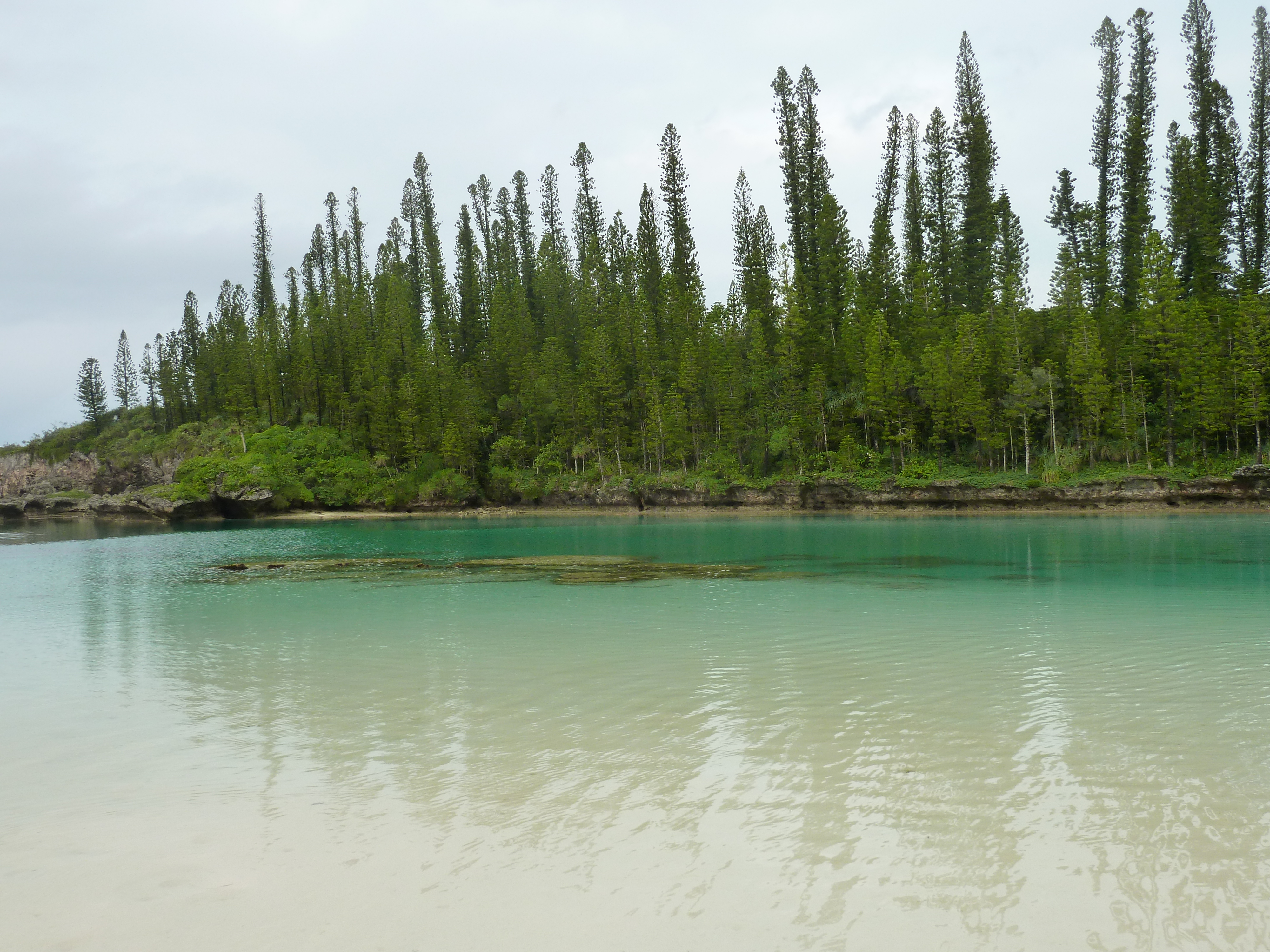 Picture New Caledonia Ile des pins Oro Bay 2010-05 66 - Center Oro Bay