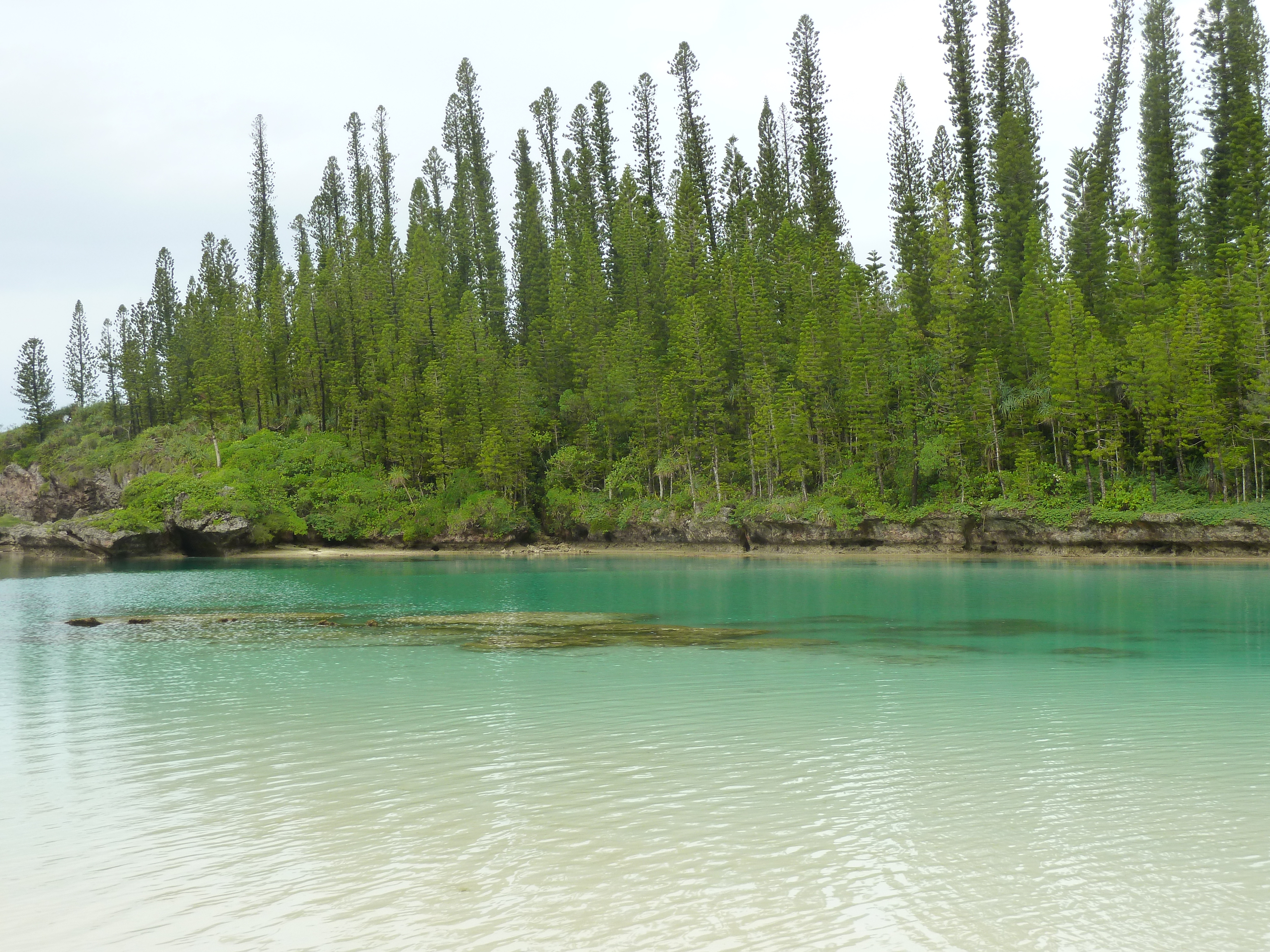 Picture New Caledonia 2010-05 93 - Center New Caledonia