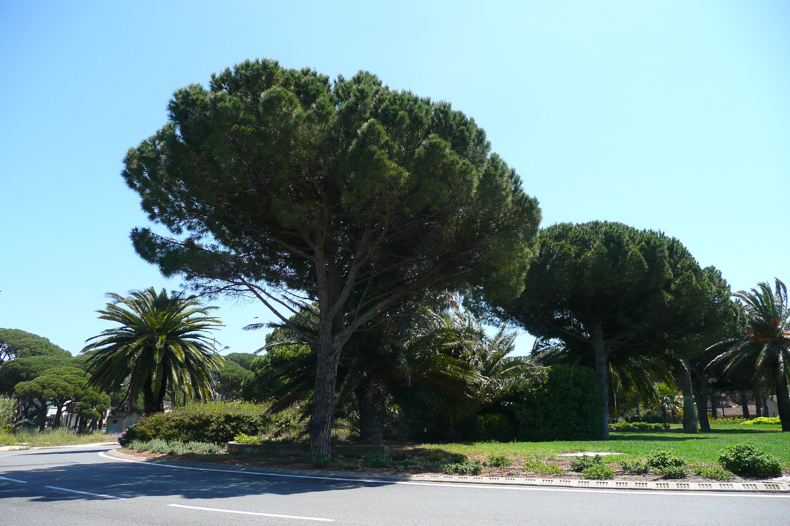 Picture France French Riviera Hyeres peninsula 2008-05 3 - History Hyeres peninsula