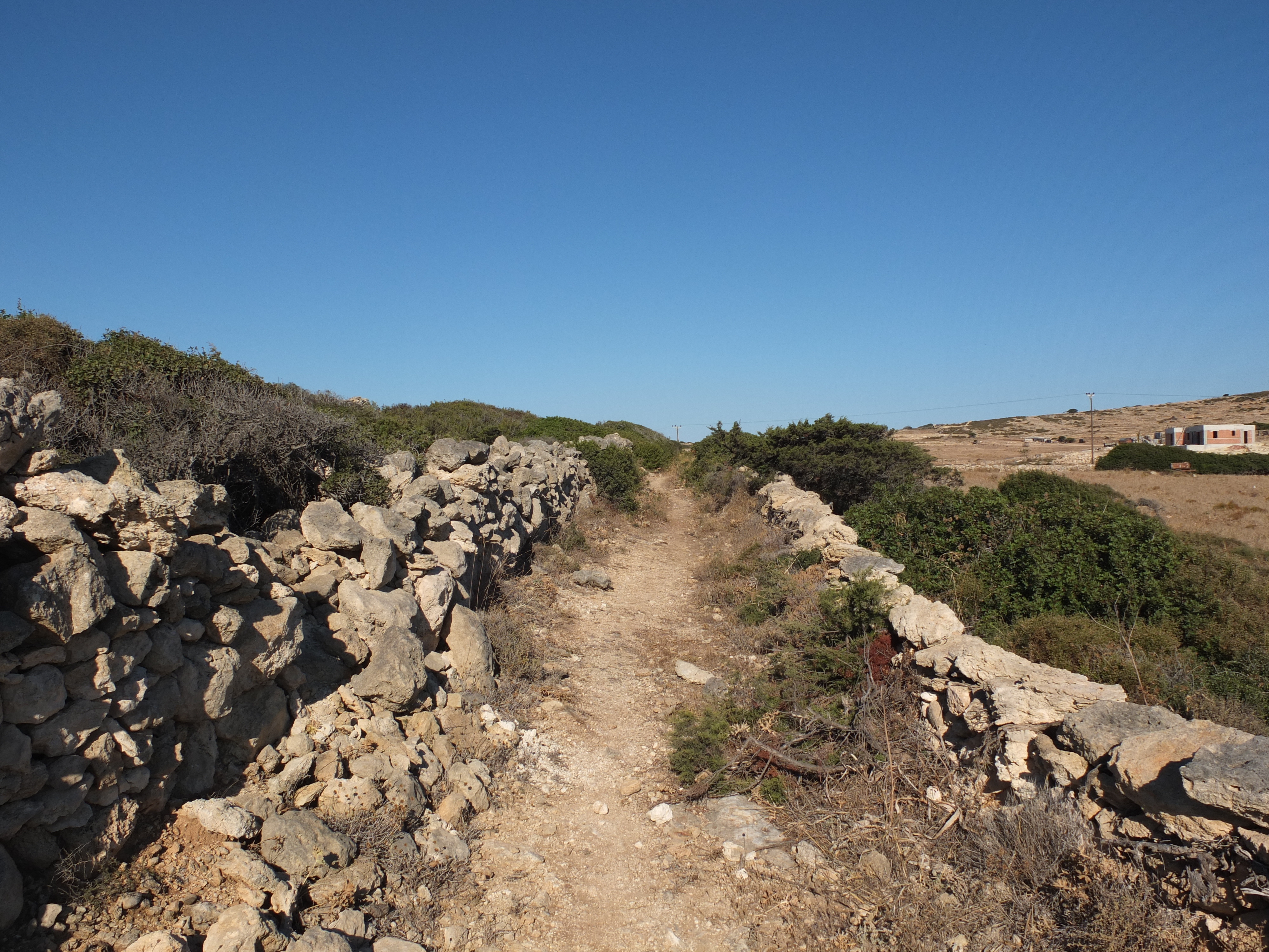 Picture Greece Koufonissia 2014-07 327 - Tours Koufonissia