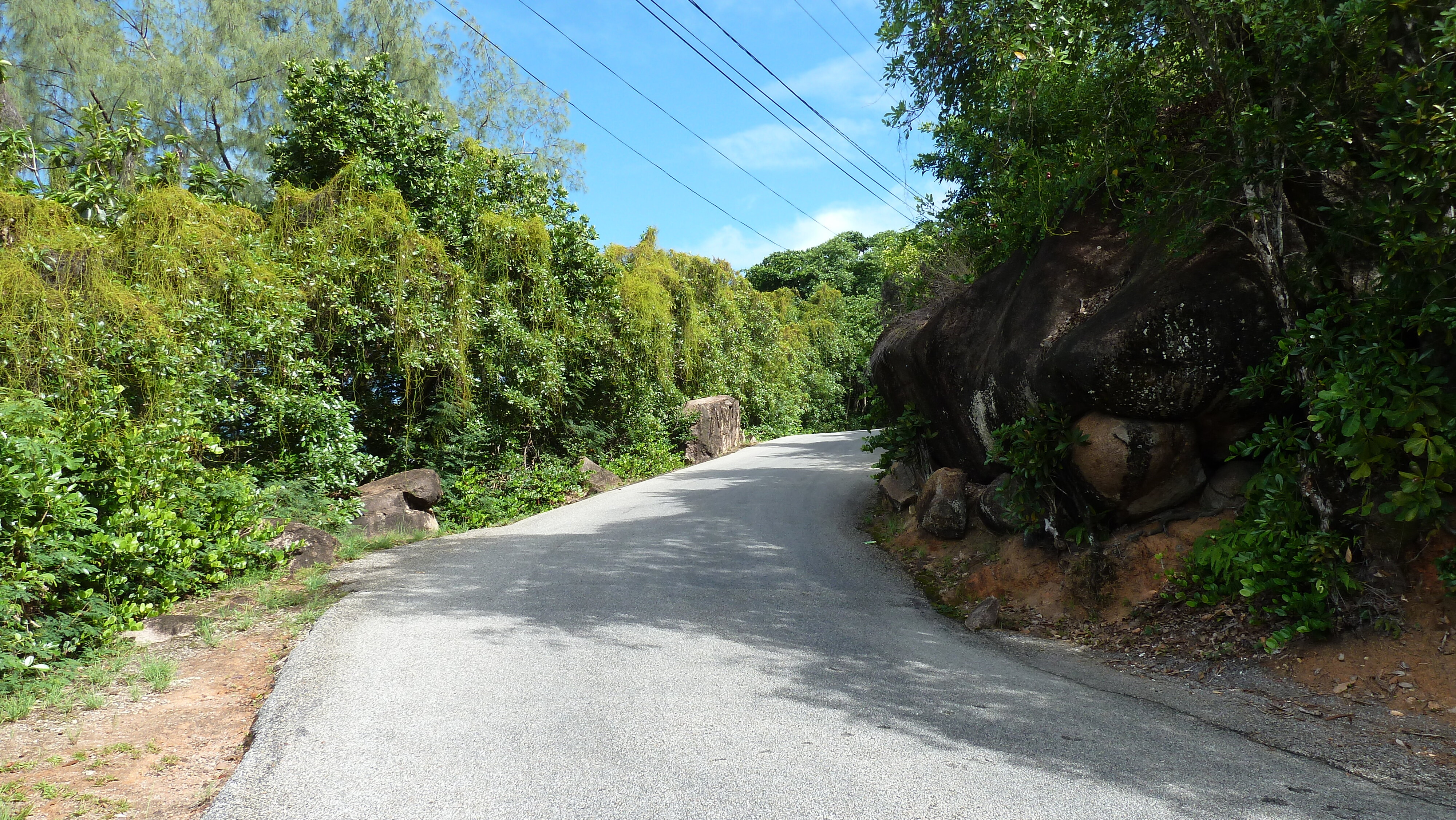 Picture Seychelles Praslin 2011-10 104 - Tours Praslin