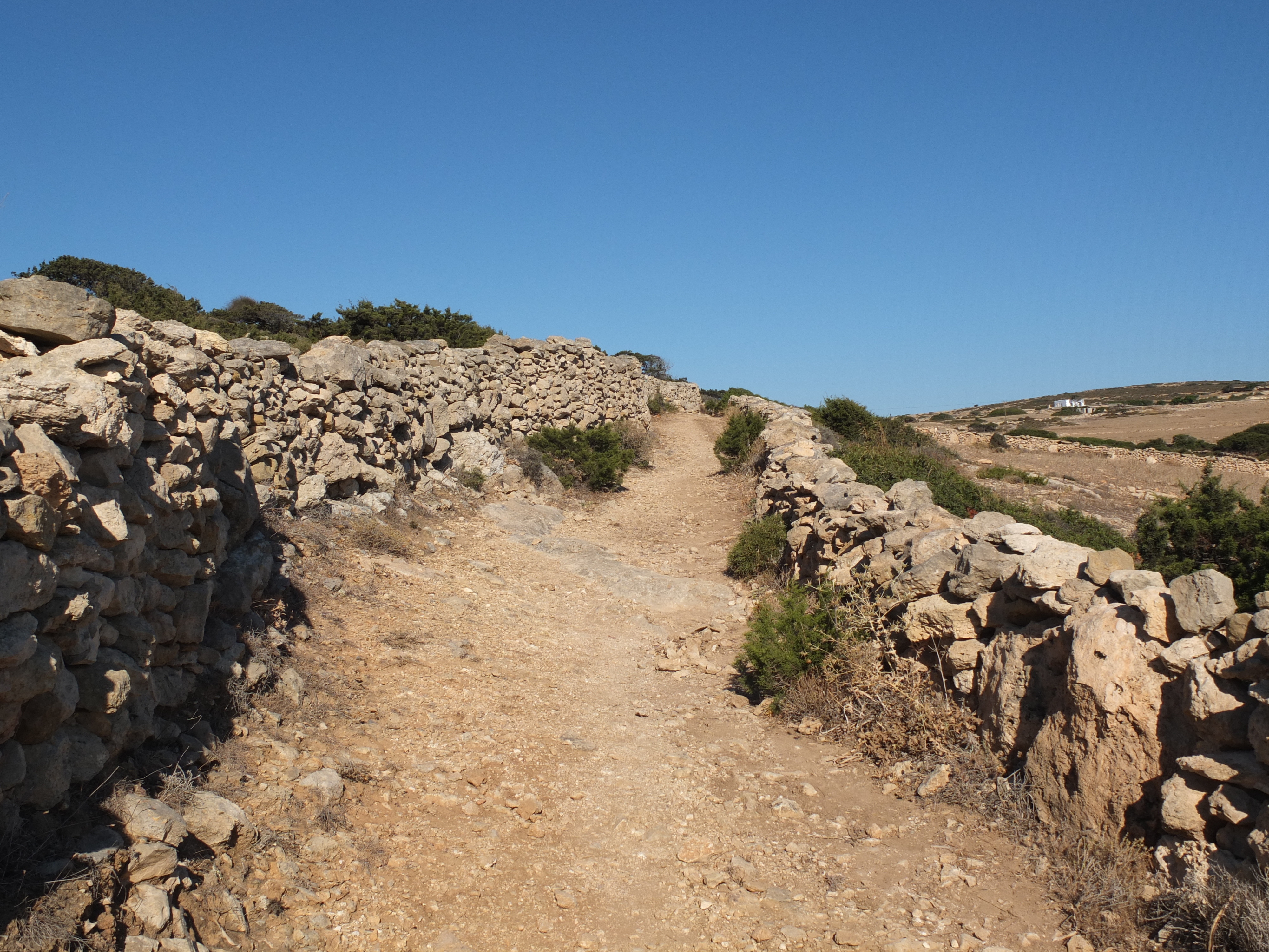 Picture Greece Koufonissia 2014-07 246 - Journey Koufonissia