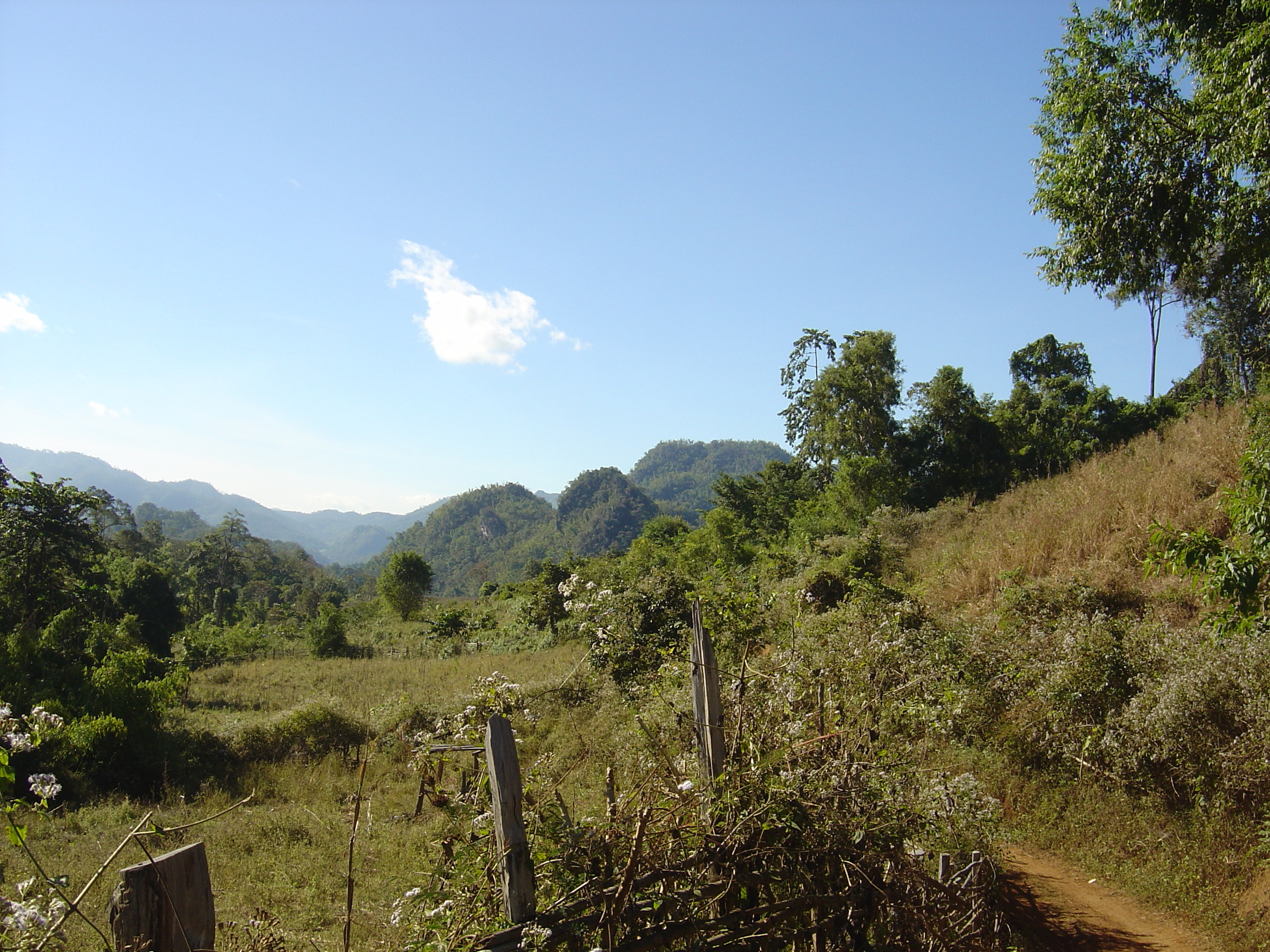 Picture Thailand Pang ma pha 2005-12 159 - Around Pang ma pha