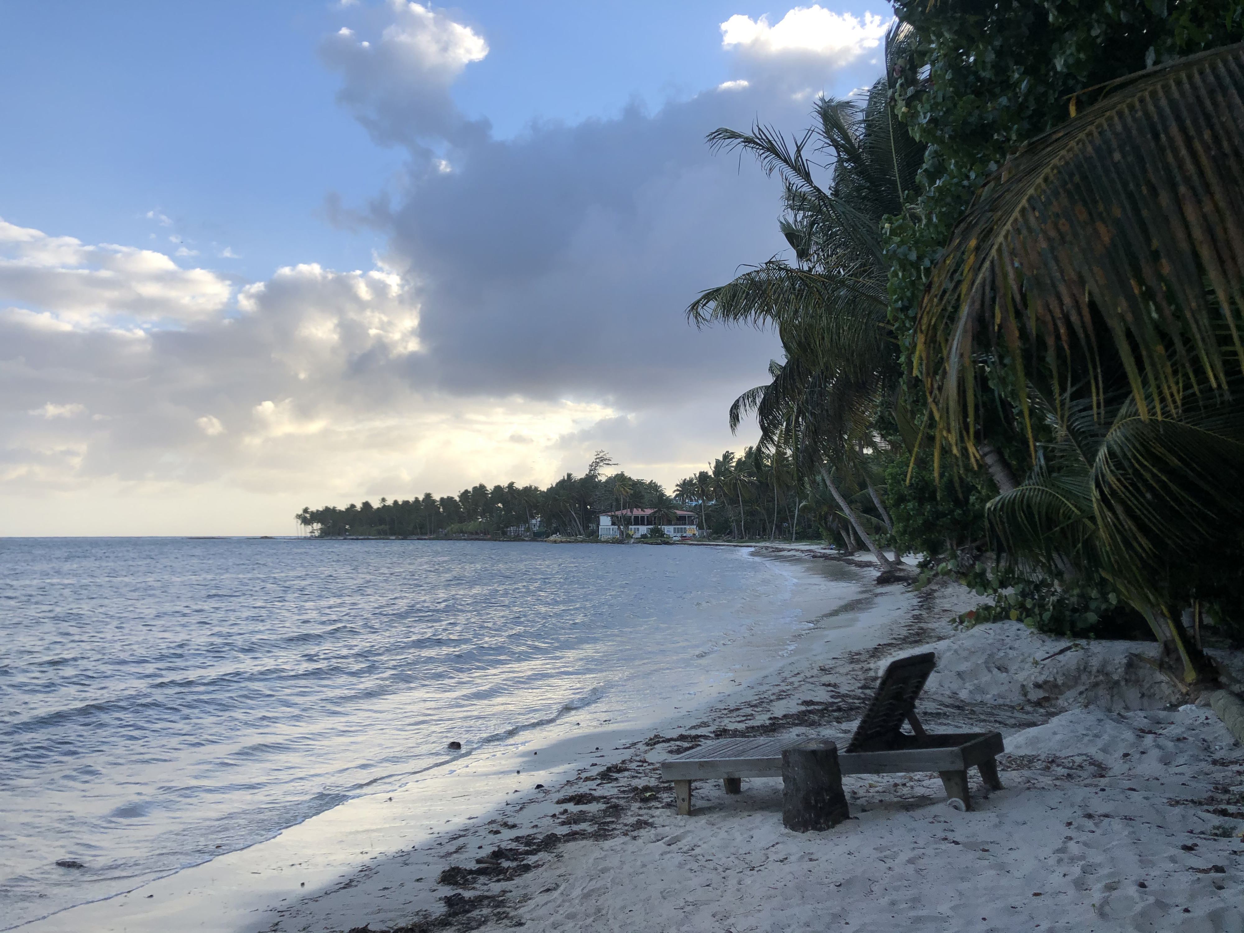 Picture Guadeloupe Sainte Anne 2021-02 88 - Around Sainte Anne