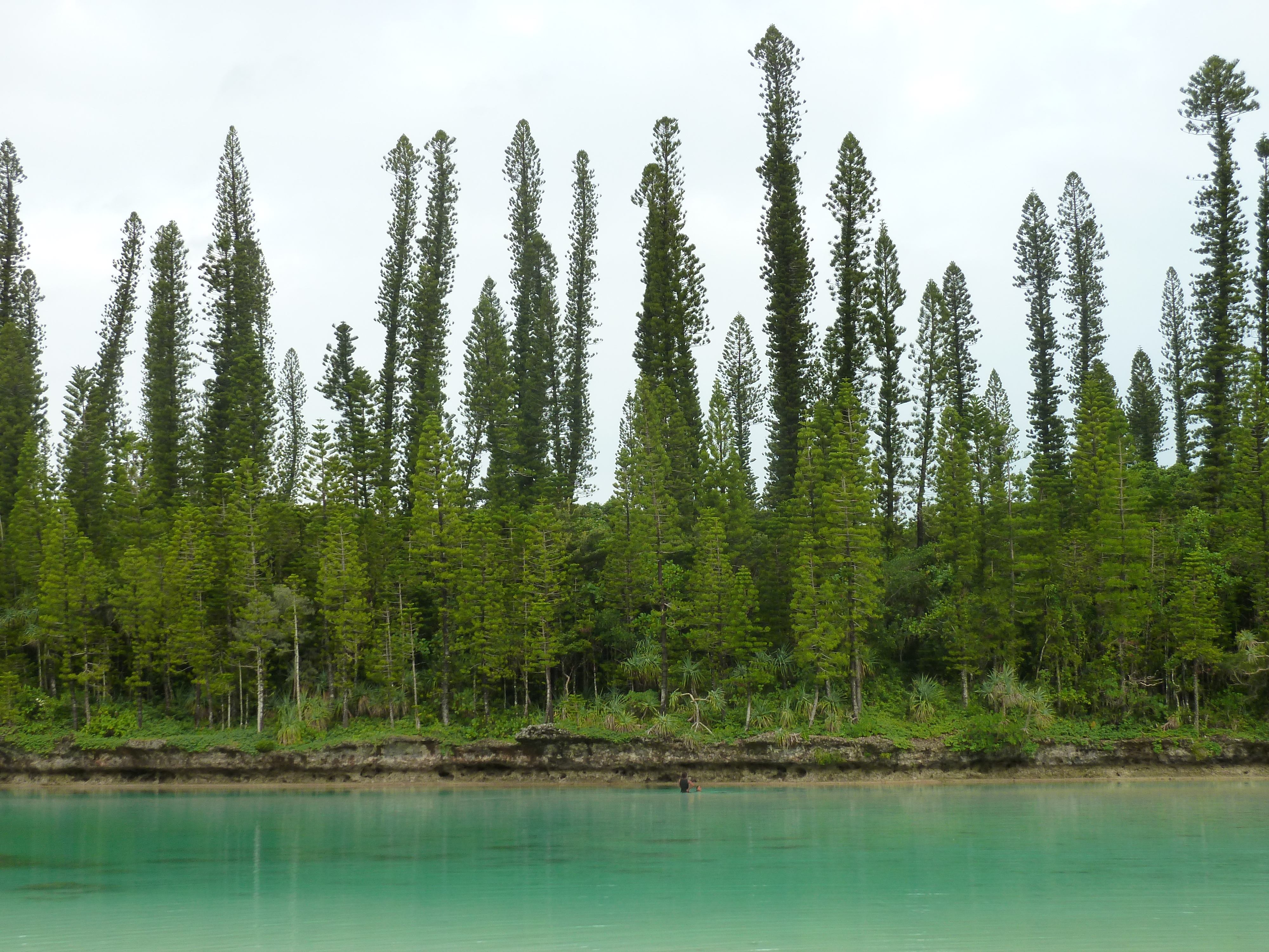 Picture New Caledonia Ile des pins Oro Bay 2010-05 44 - History Oro Bay