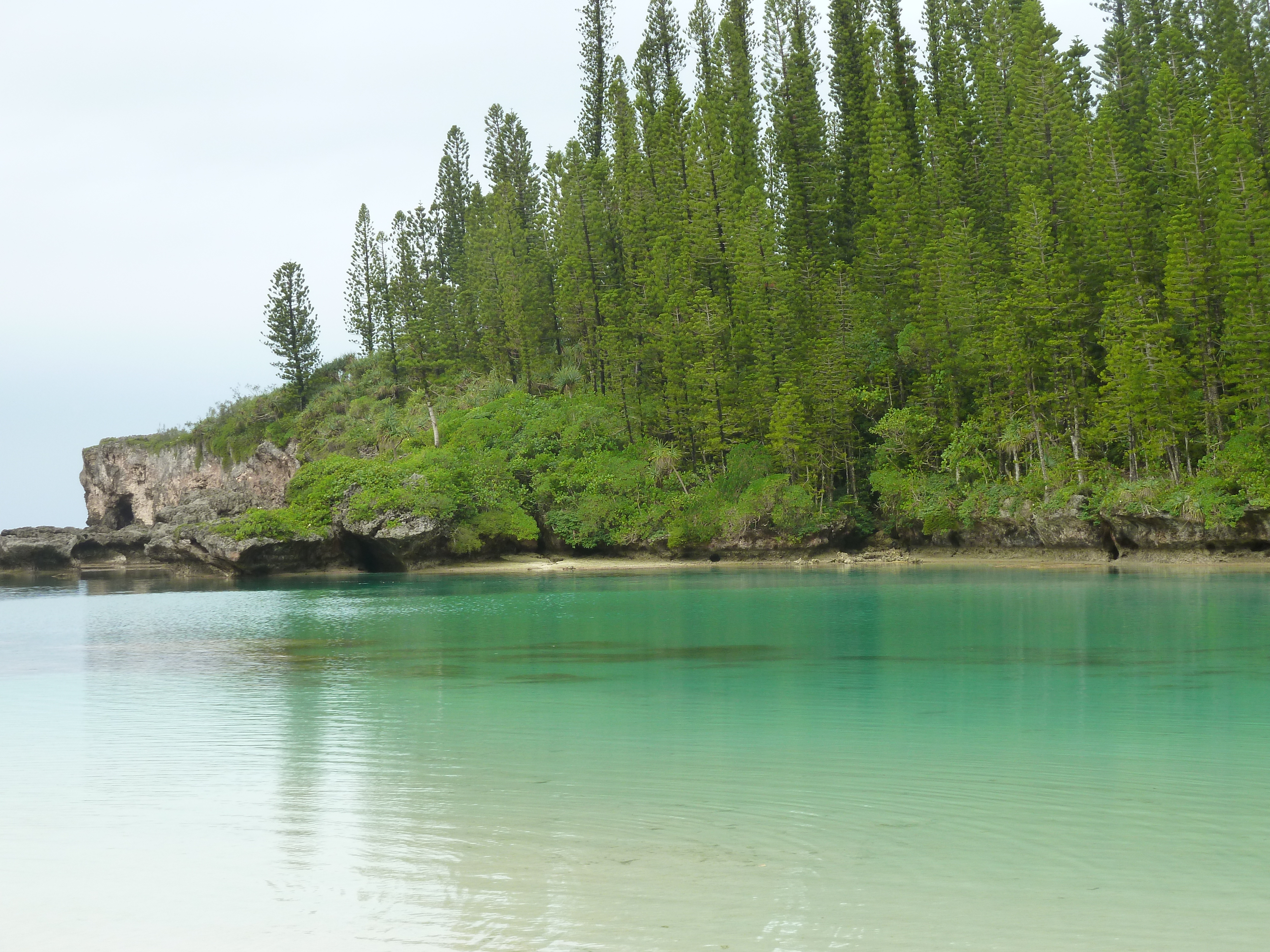 Picture New Caledonia Ile des pins Oro Bay 2010-05 47 - Discovery Oro Bay