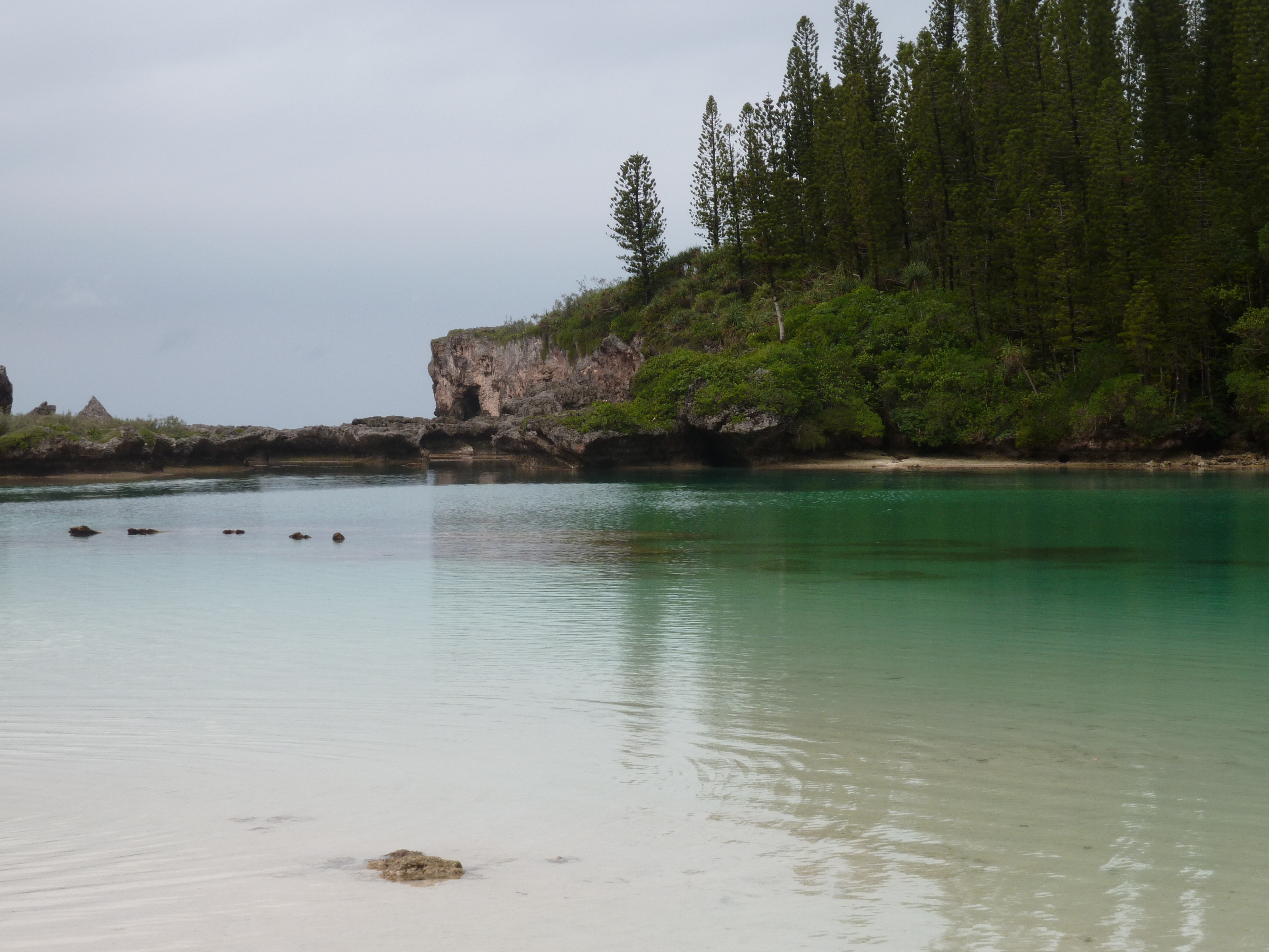 Picture New Caledonia Ile des pins Oro Bay 2010-05 57 - Around Oro Bay