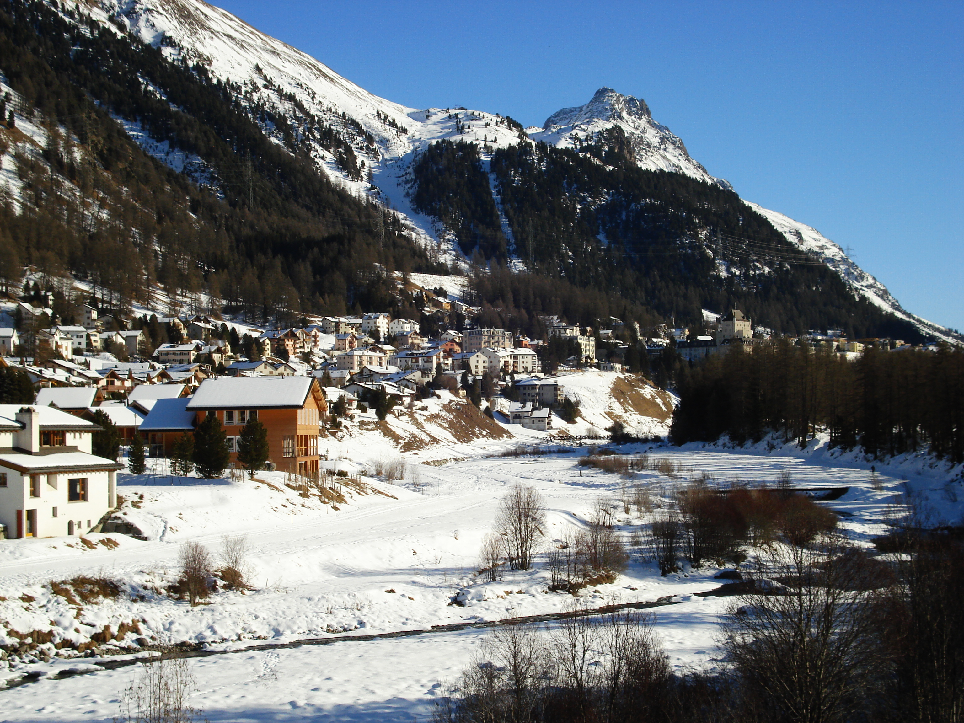 Picture Swiss Pontresina 2007-01 85 - Discovery Pontresina