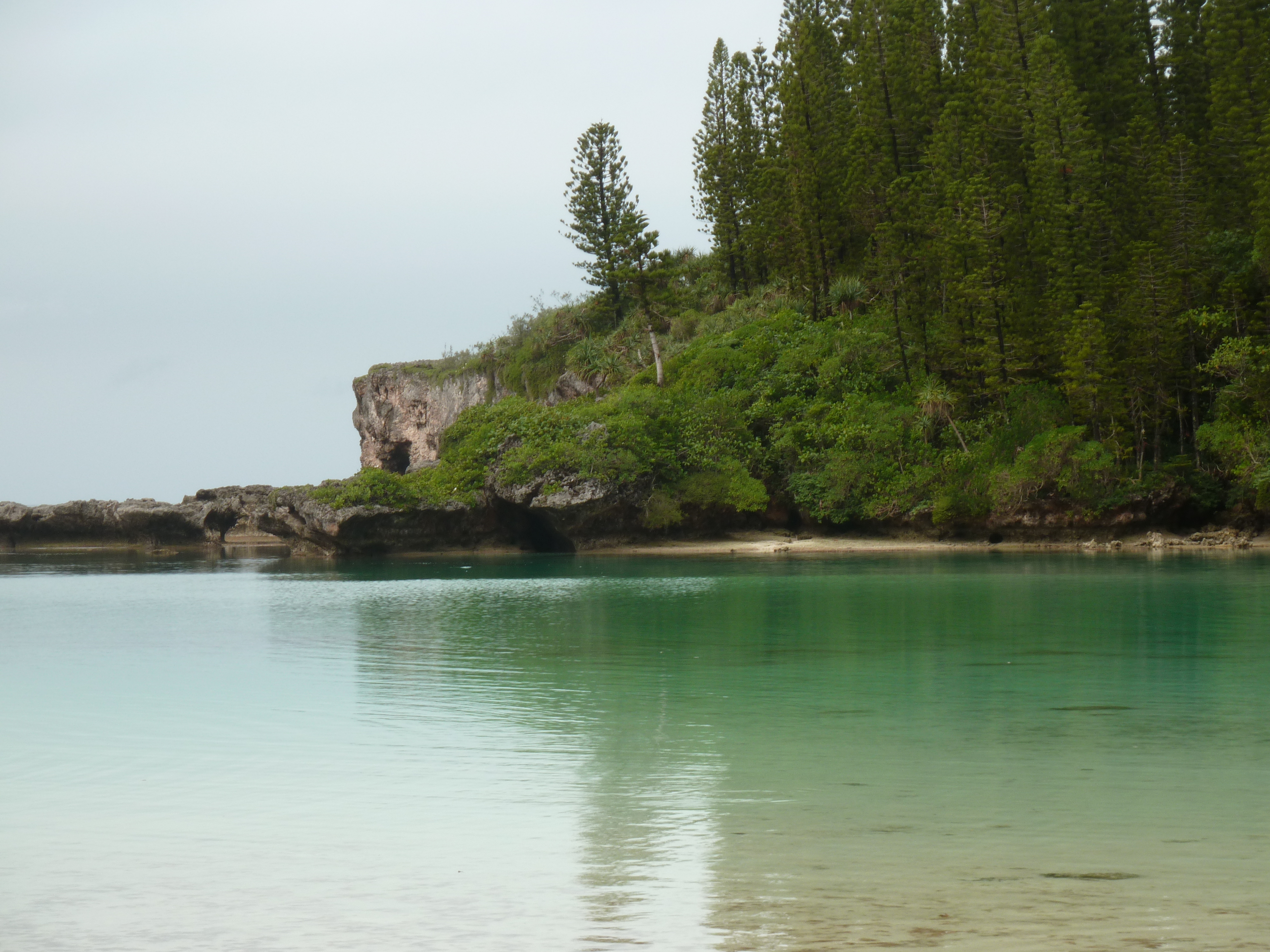 Picture New Caledonia Ile des pins Oro Bay 2010-05 55 - Tours Oro Bay