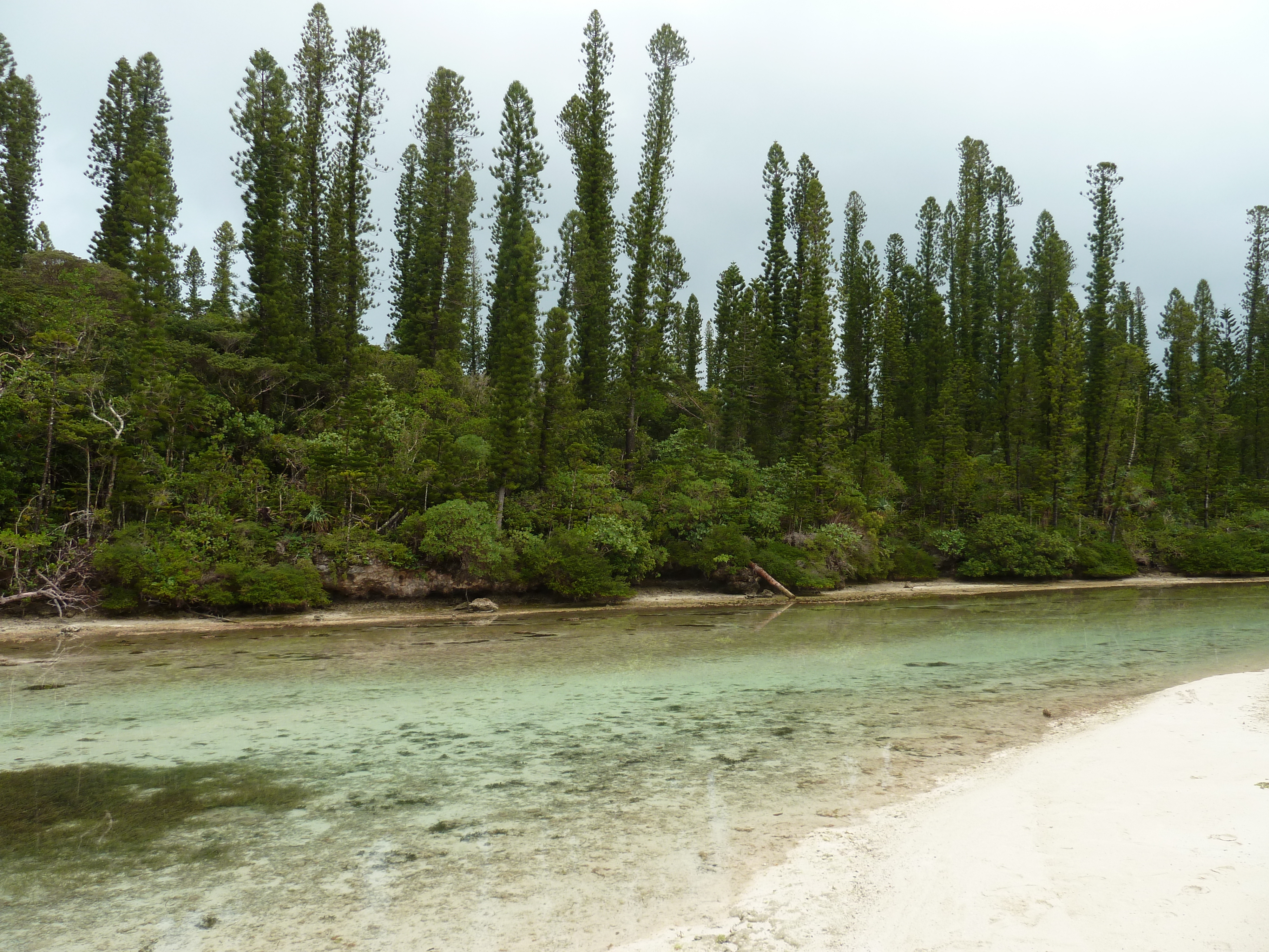 Picture New Caledonia Ile des pins Oro Bay 2010-05 50 - Tours Oro Bay