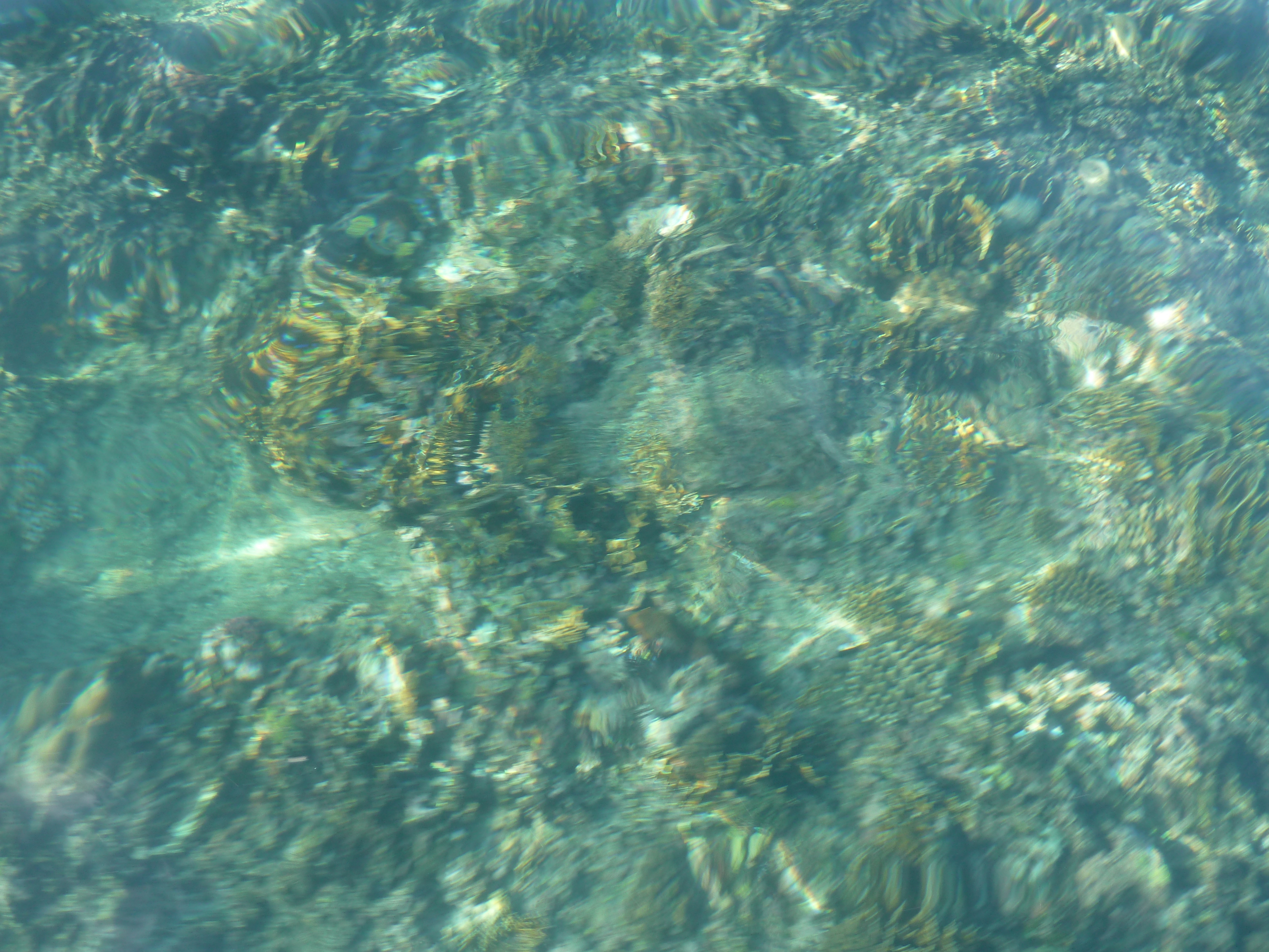 Picture Fiji Amunuca Island to Castaway Island 2010-05 53 - History Amunuca Island to Castaway Island