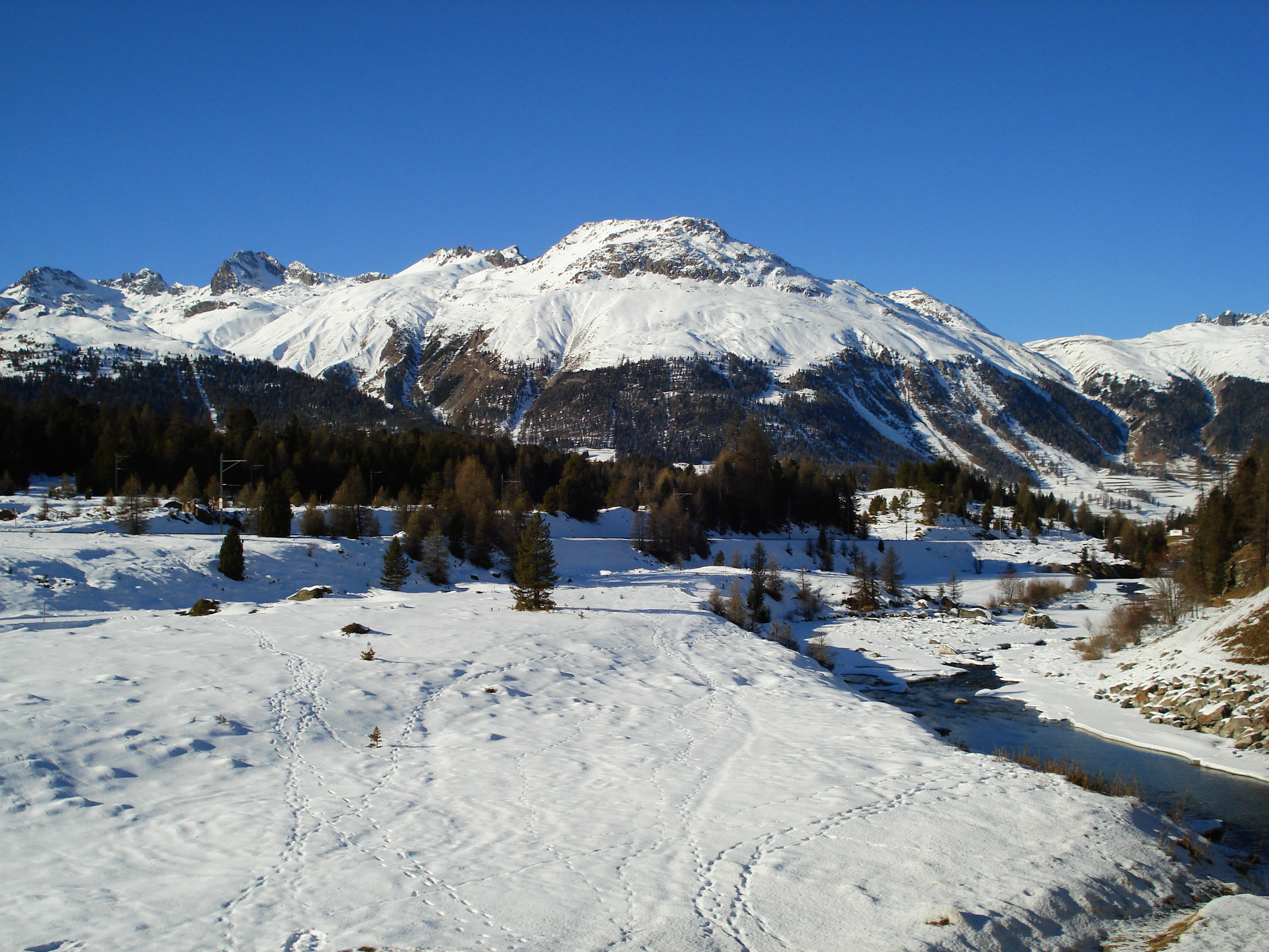 Picture Swiss Pontresina 2007-01 80 - Discovery Pontresina