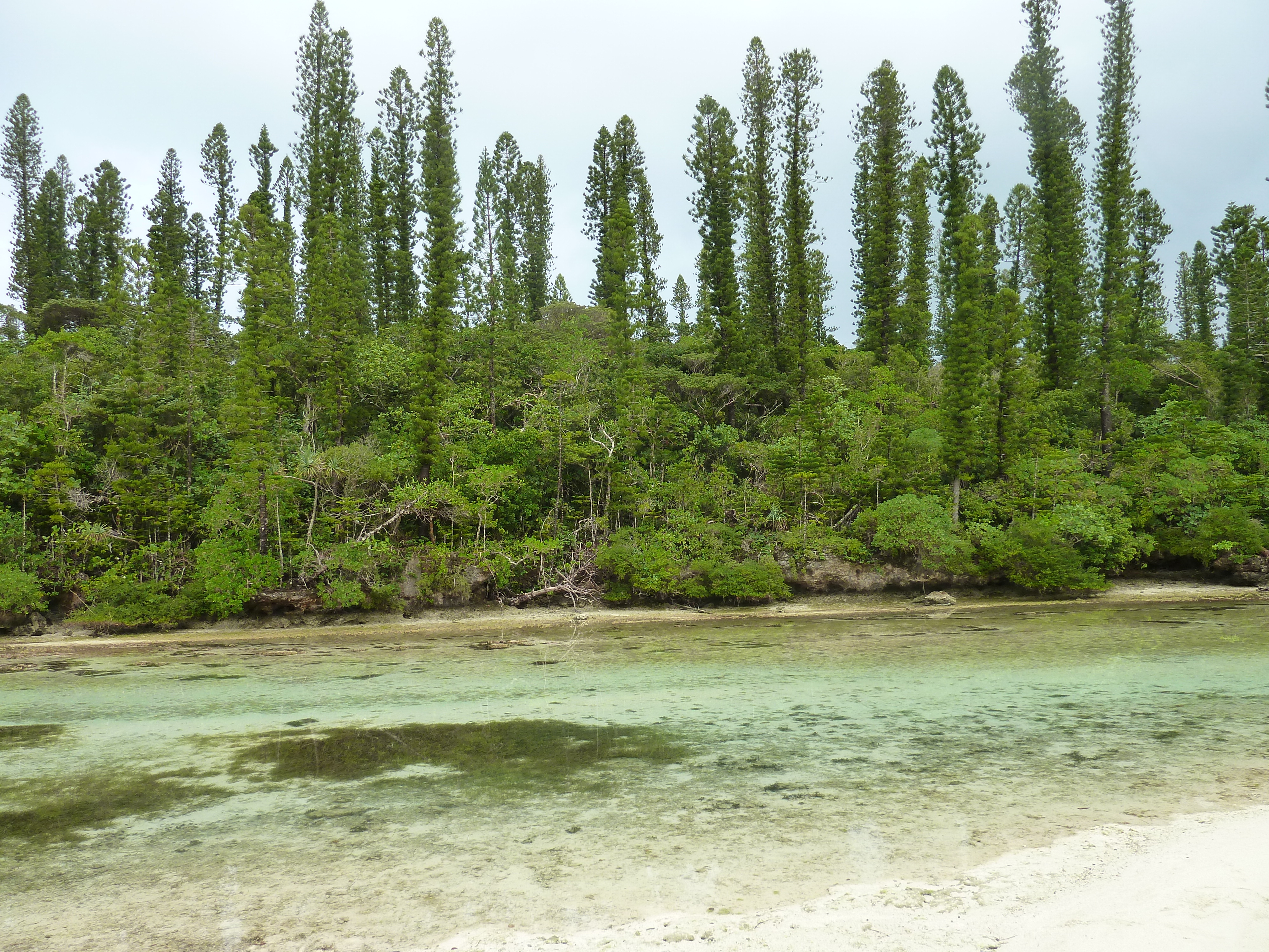 Picture New Caledonia Ile des pins Oro Bay 2010-05 53 - Journey Oro Bay