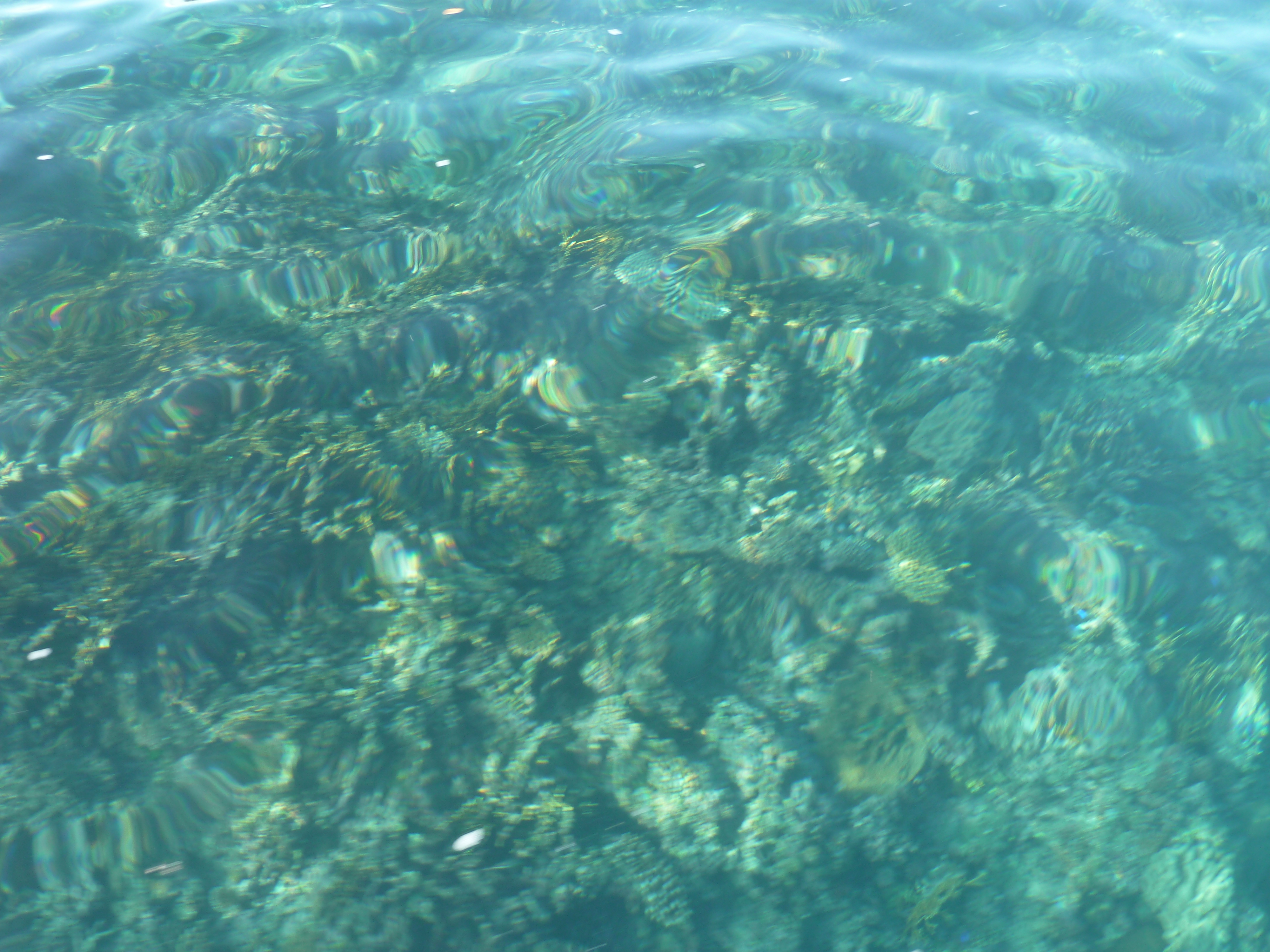 Picture Fiji Amunuca Island to Castaway Island 2010-05 56 - History Amunuca Island to Castaway Island