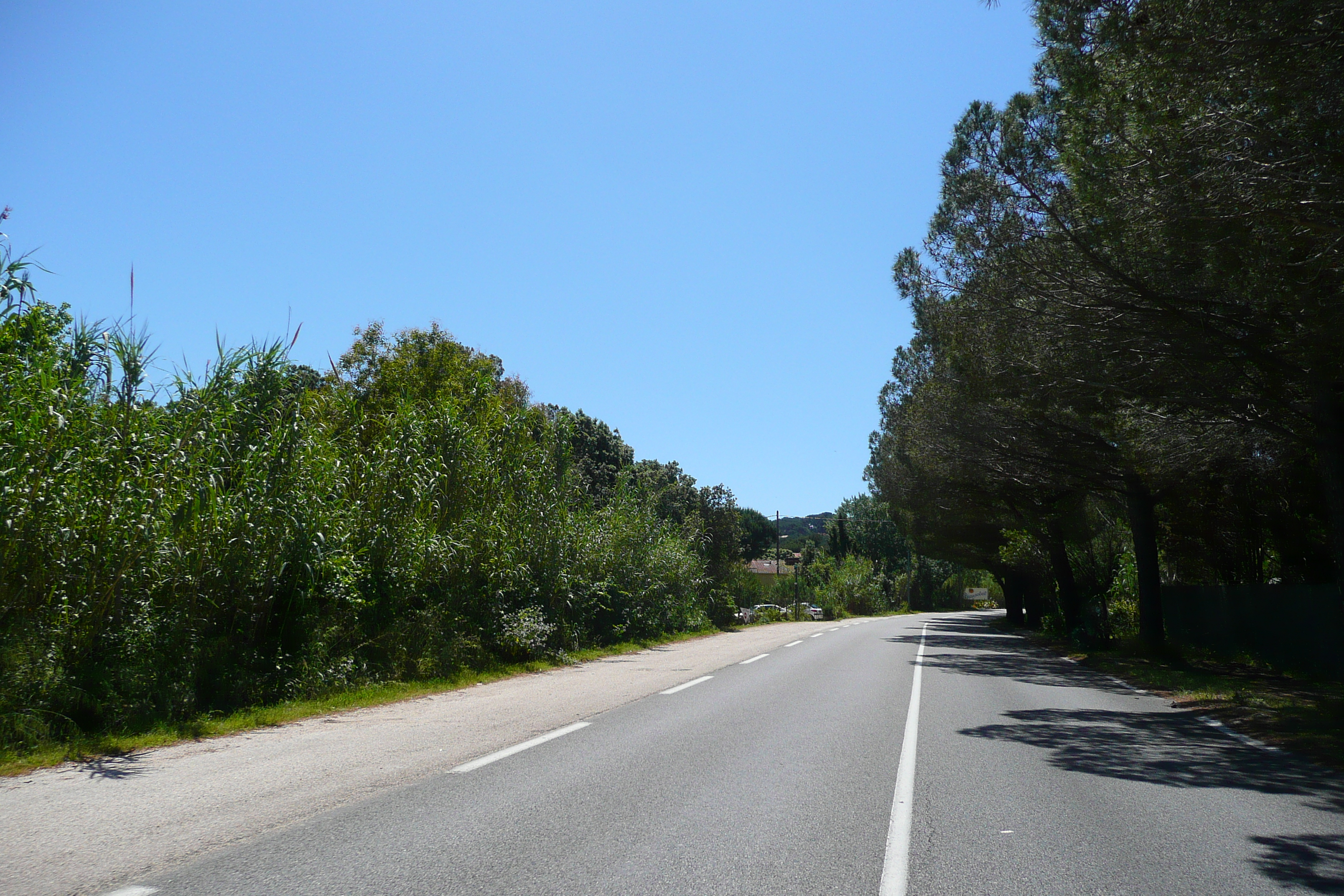 Picture France French Riviera Hyeres peninsula 2008-05 12 - Discovery Hyeres peninsula