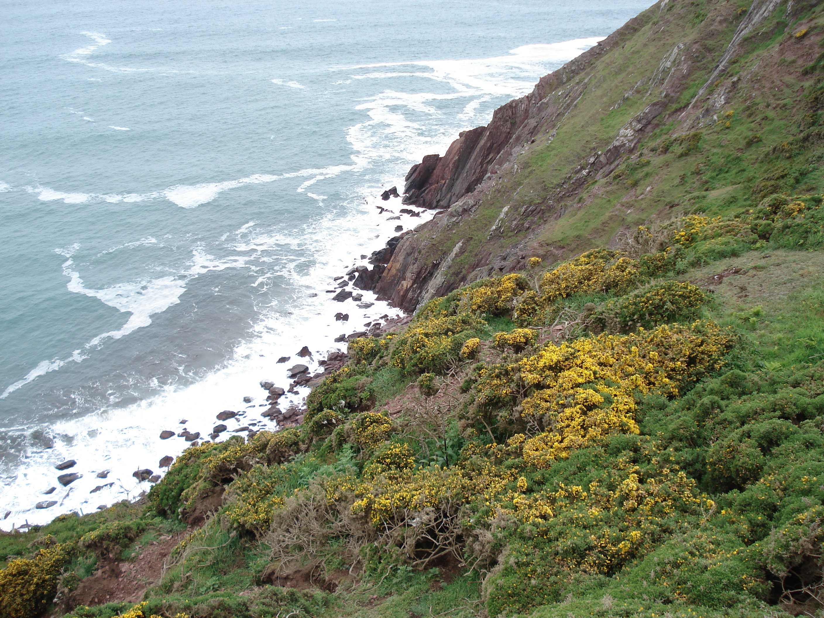 Picture United Kingdom Pembrokeshire St. Ann's Head 2006-05 1 - Tour St. Ann's Head