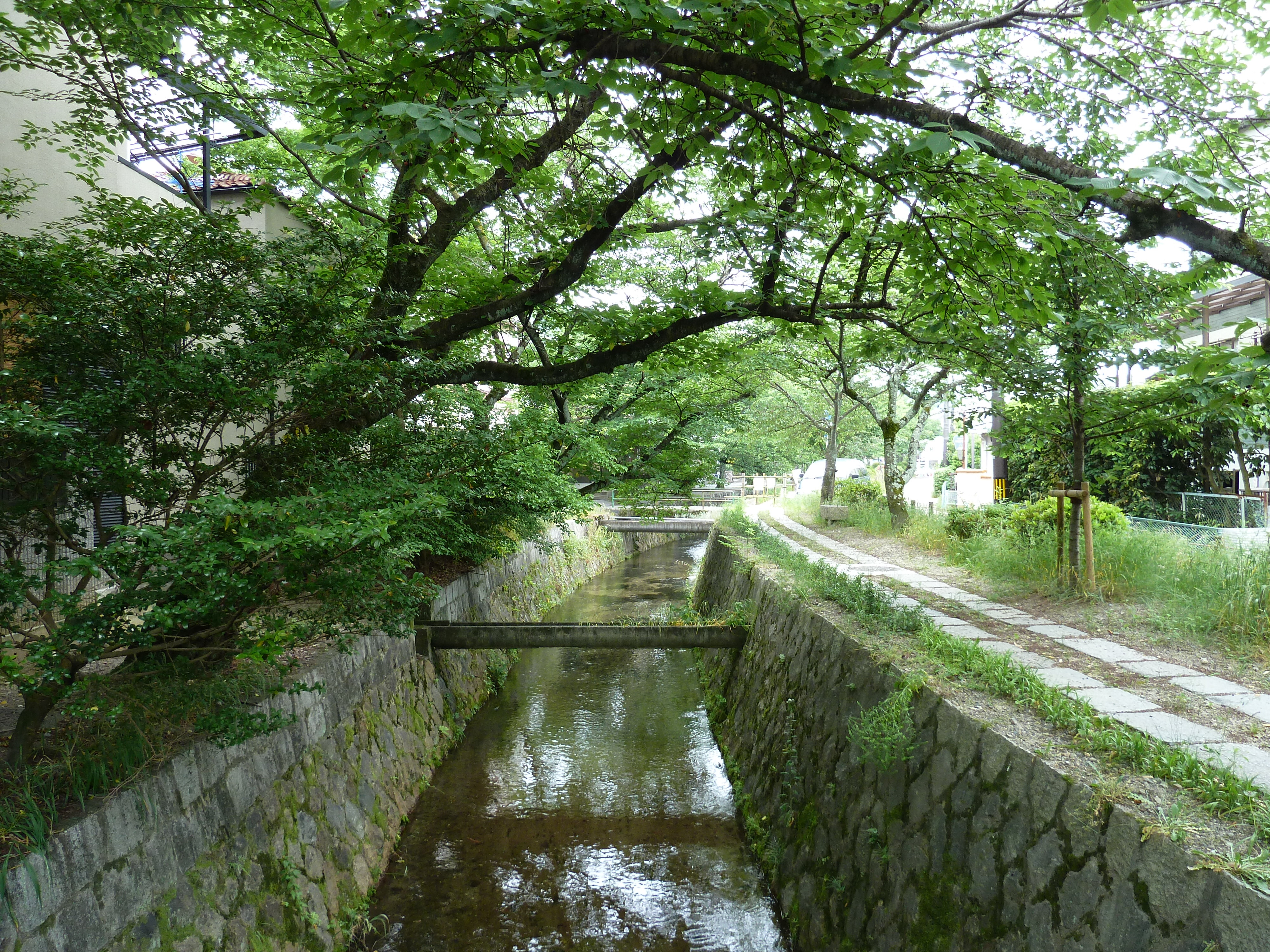 Picture Japan Kyoto 2010-06 14 - History Kyoto