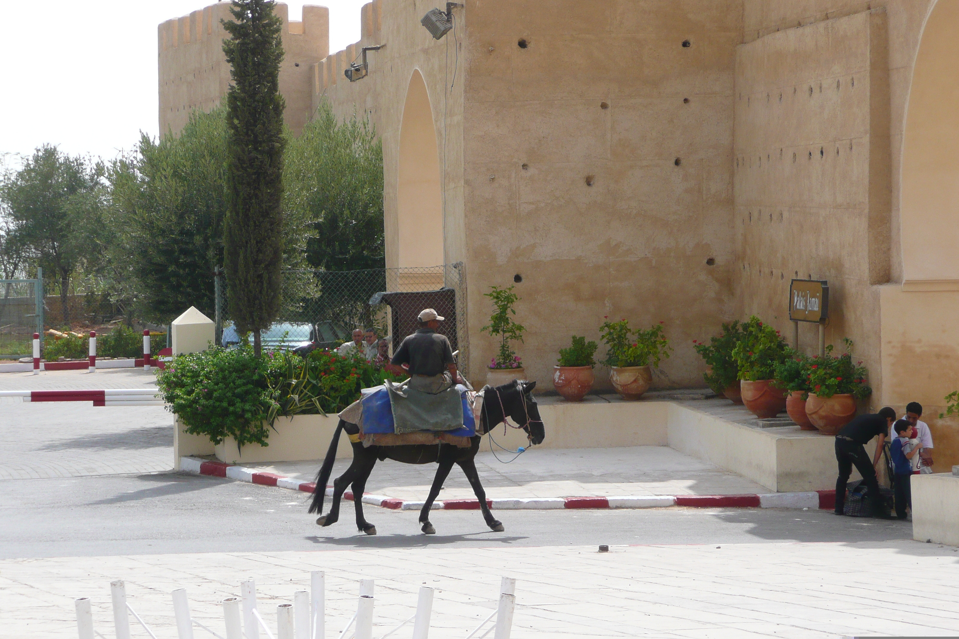 Picture Morocco Fes Fes Medina 2008-07 17 - Tour Fes Medina