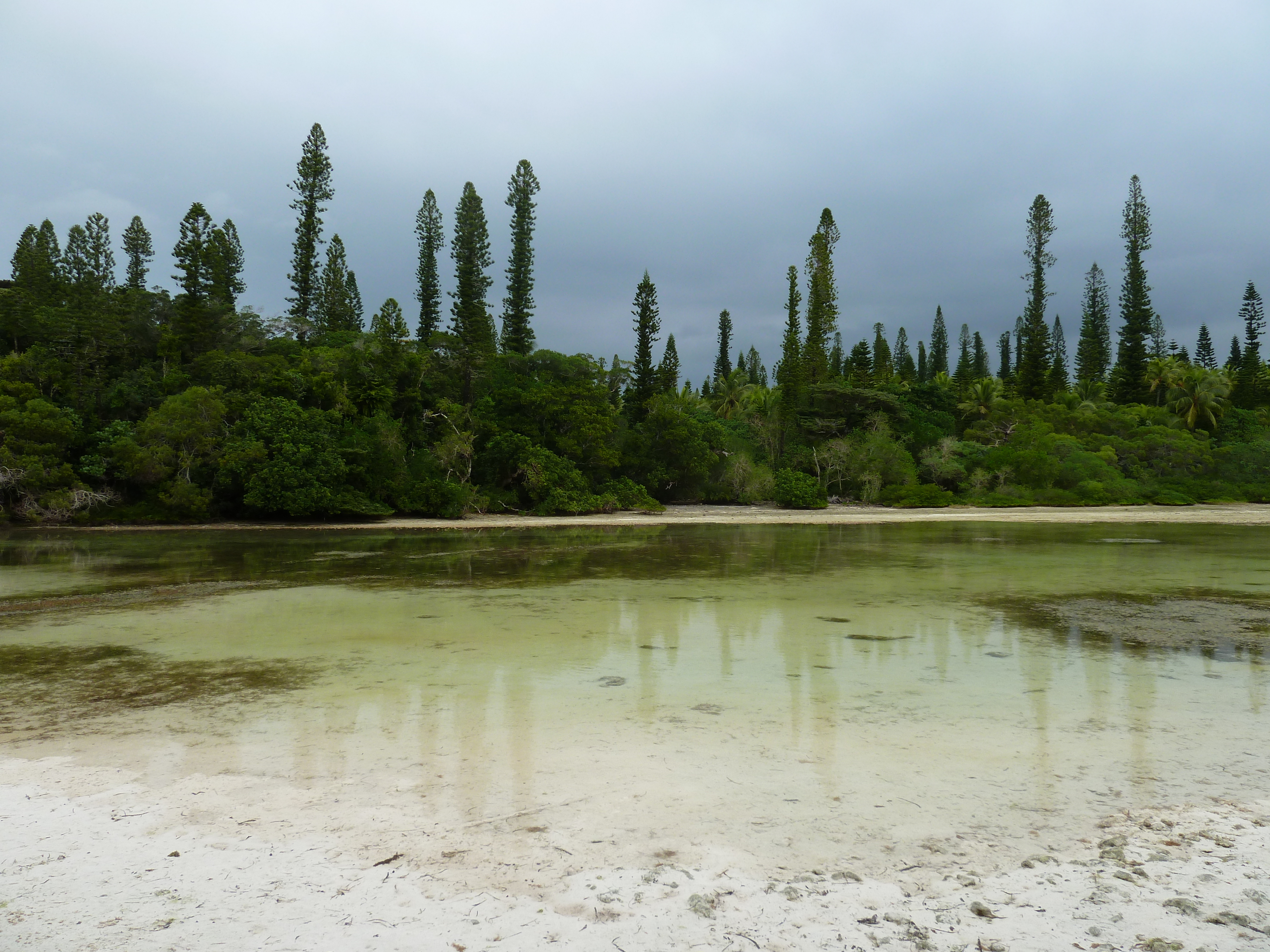 Picture New Caledonia Ile des pins Oro Bay 2010-05 63 - Center Oro Bay