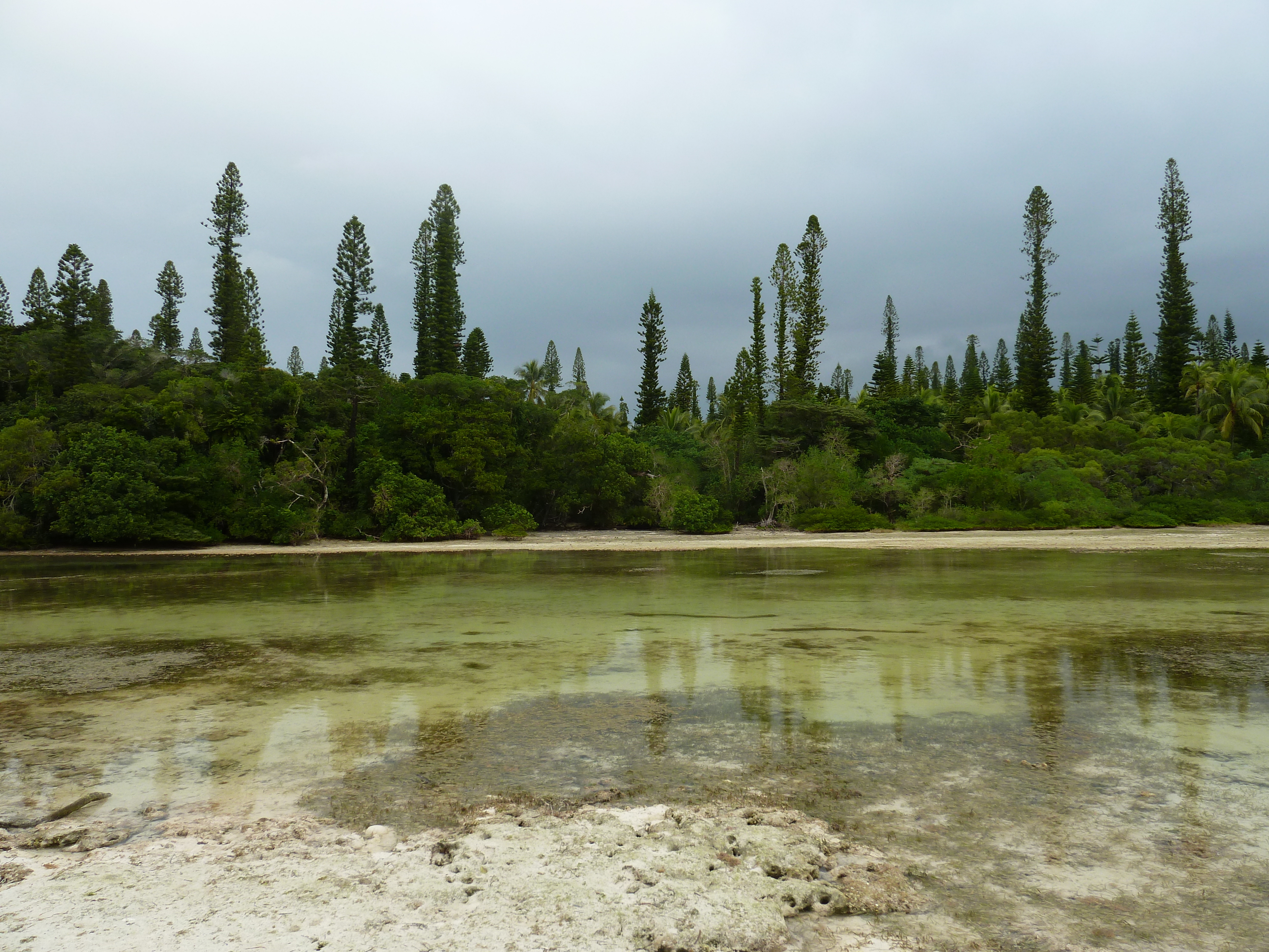 Picture New Caledonia 2010-05 73 - Center New Caledonia