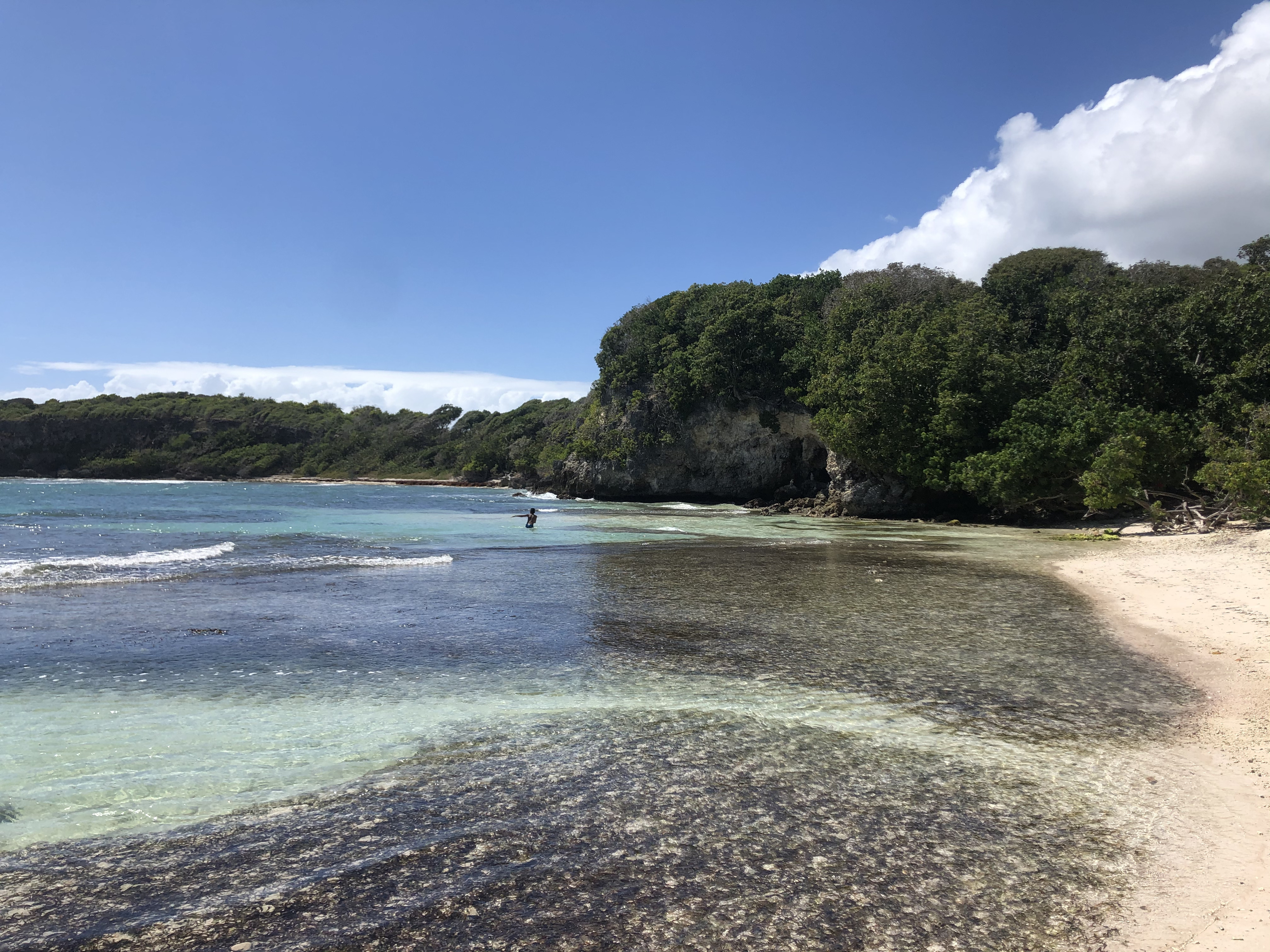 Picture Guadeloupe Castle Point 2021-02 230 - Tours Castle Point