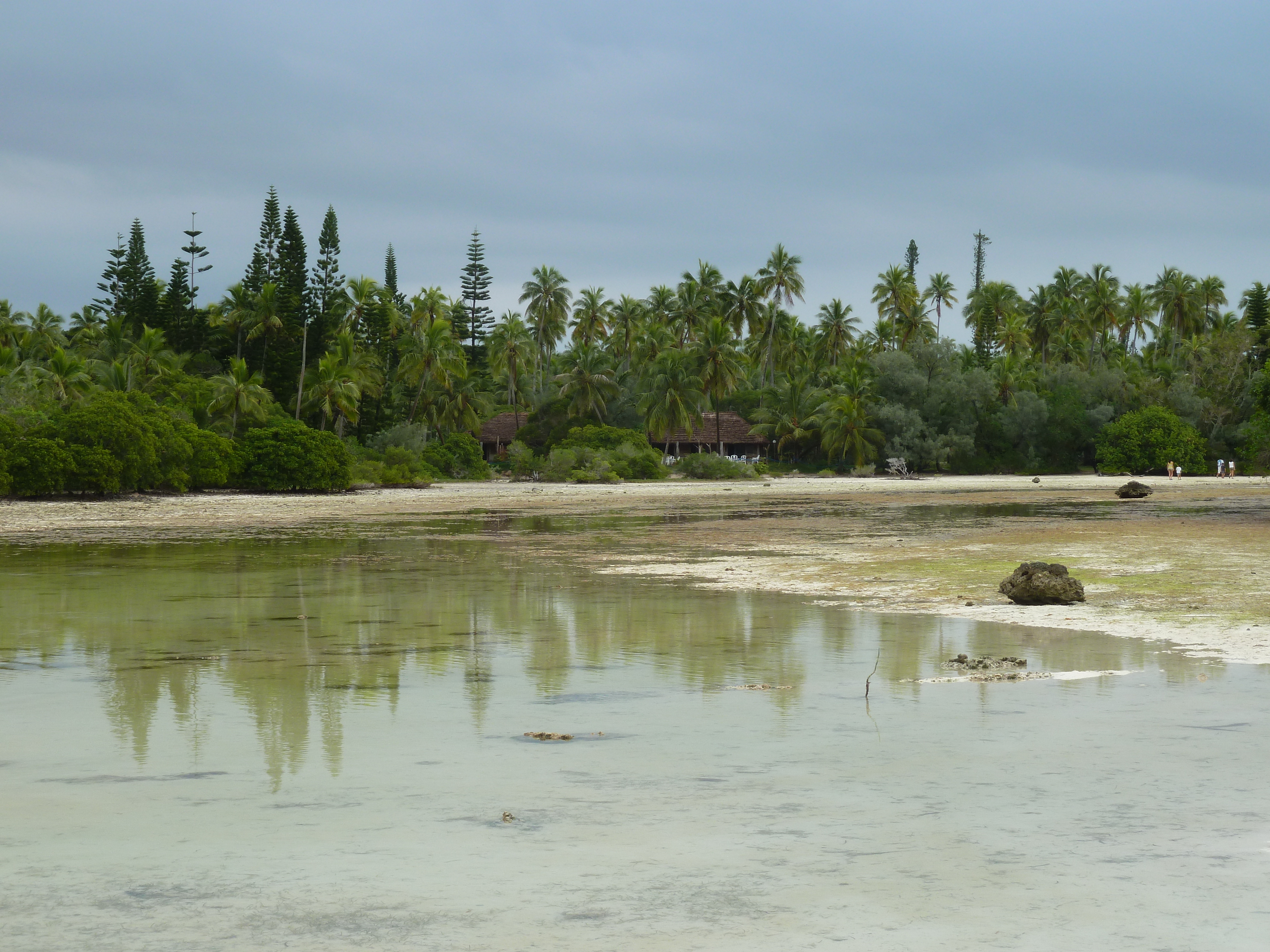 Picture New Caledonia Ile des pins Oro Bay 2010-05 59 - Around Oro Bay