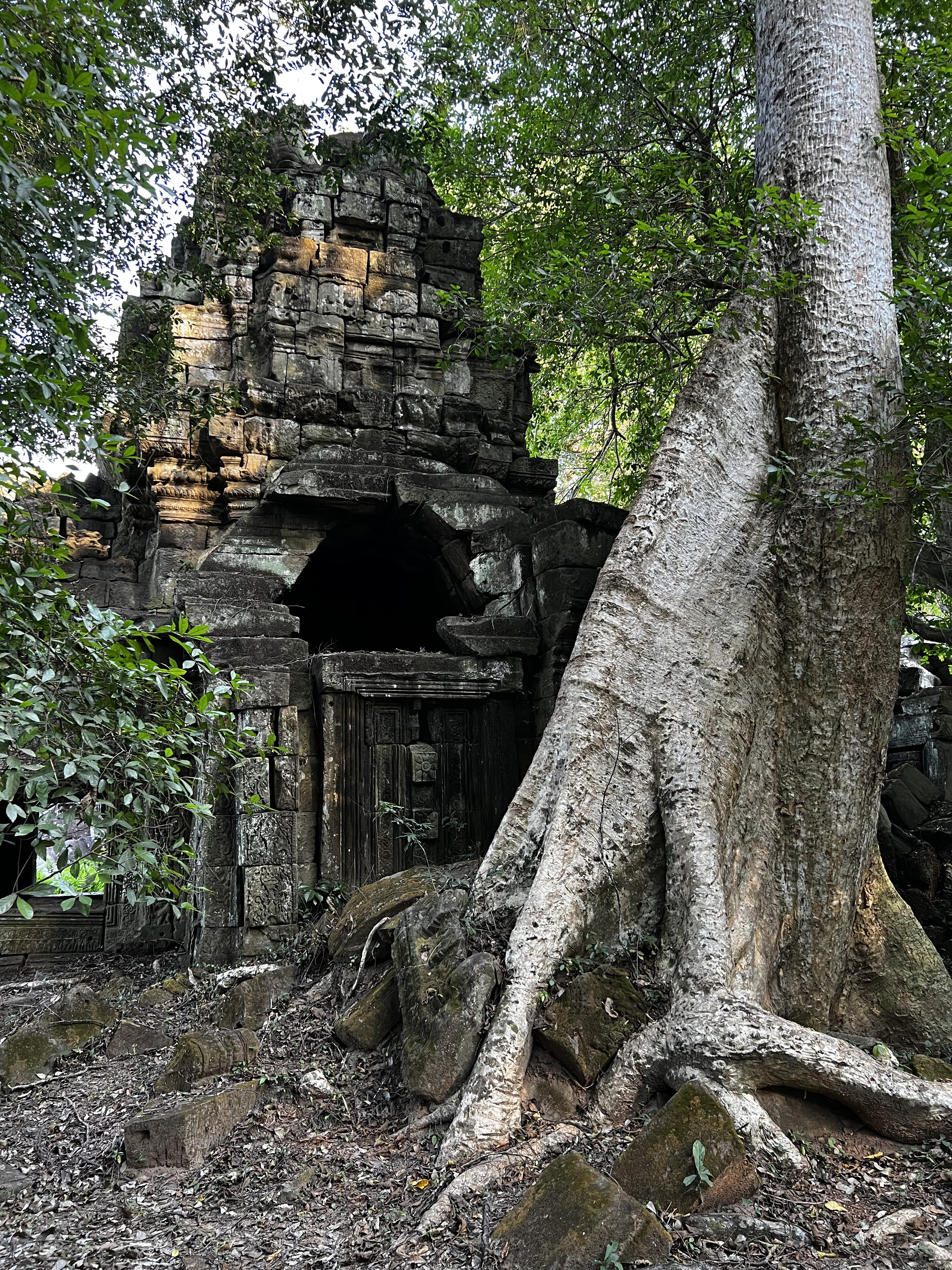 Picture Cambodia Siem Reap Preah Khan 2023-01 48 - Tours Preah Khan