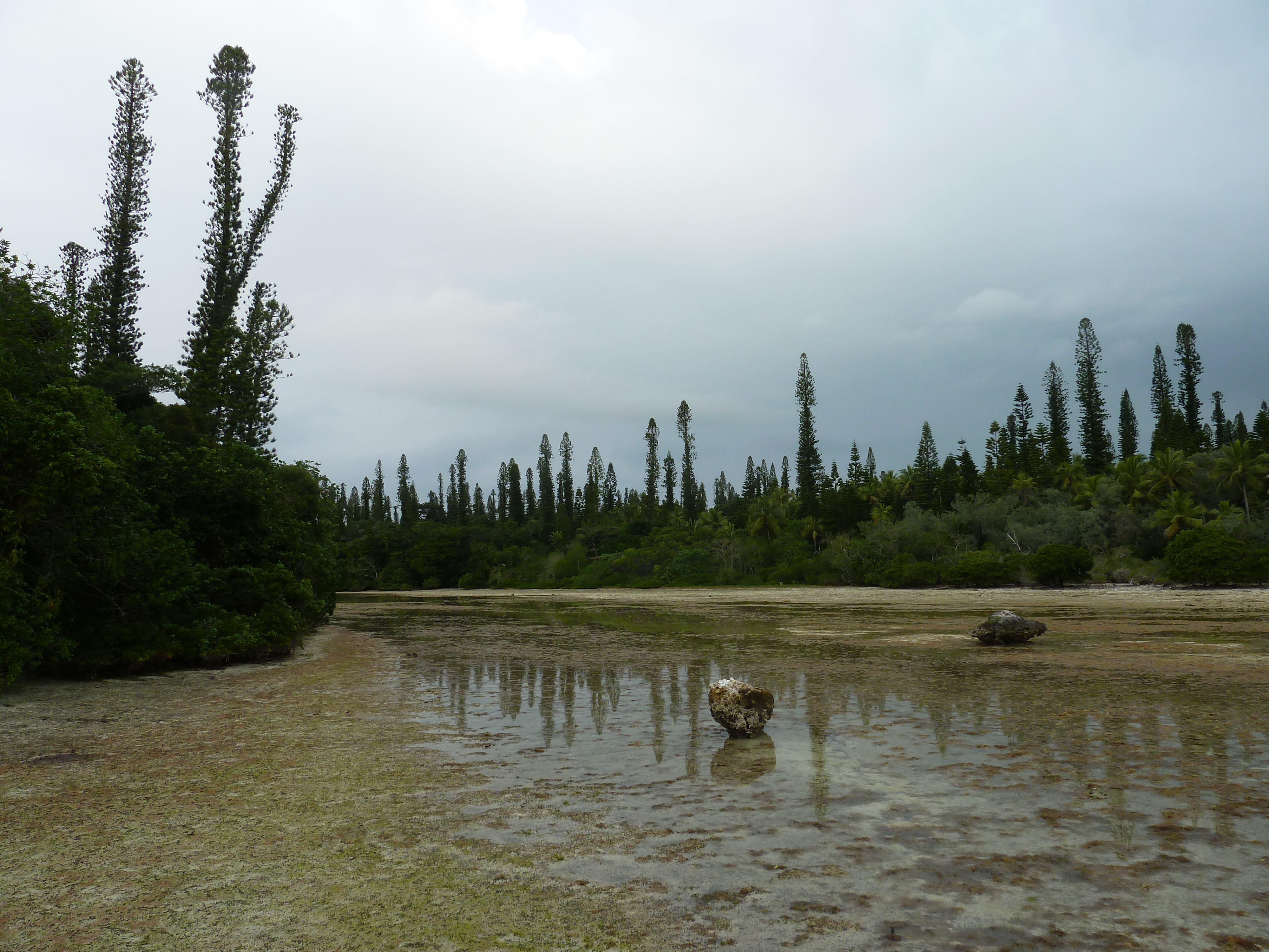 Picture New Caledonia Ile des pins Oro Bay 2010-05 61 - Tour Oro Bay