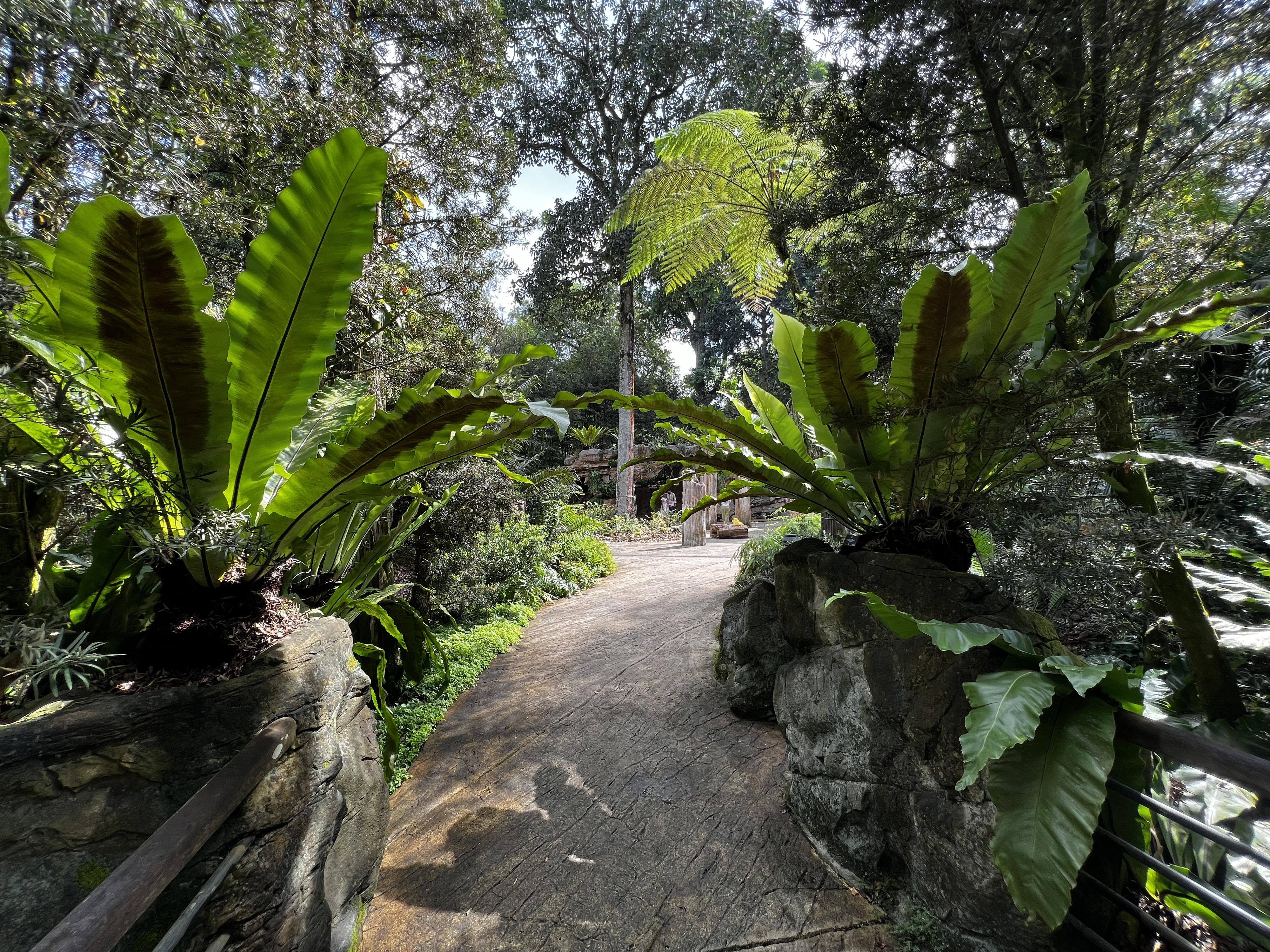 Picture Singapore Singapore Botanic Gardens 2023-01 66 - Journey Singapore Botanic Gardens