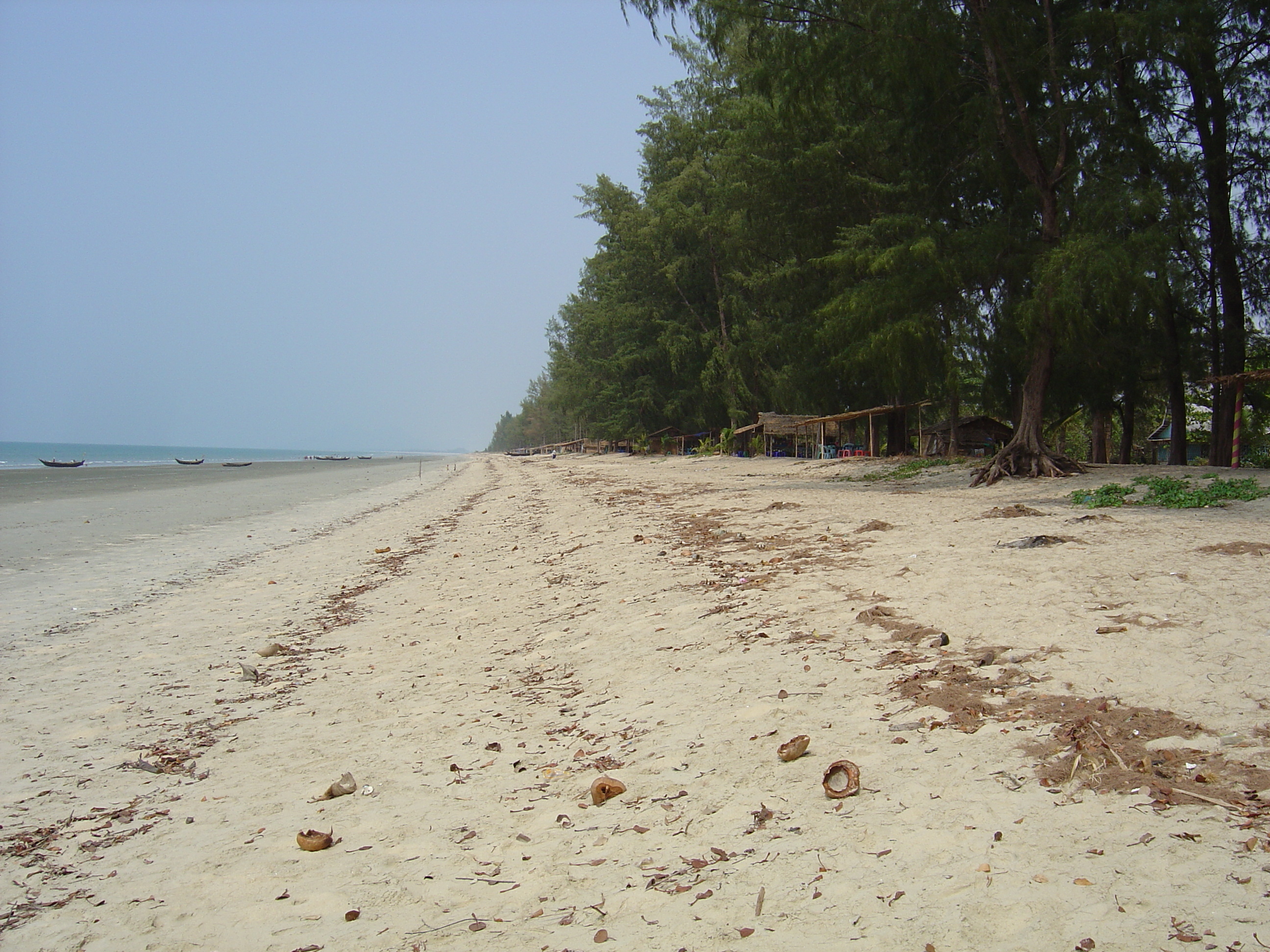 Picture Myanmar Maungmagan beach 2005-01 73 - Around Maungmagan beach