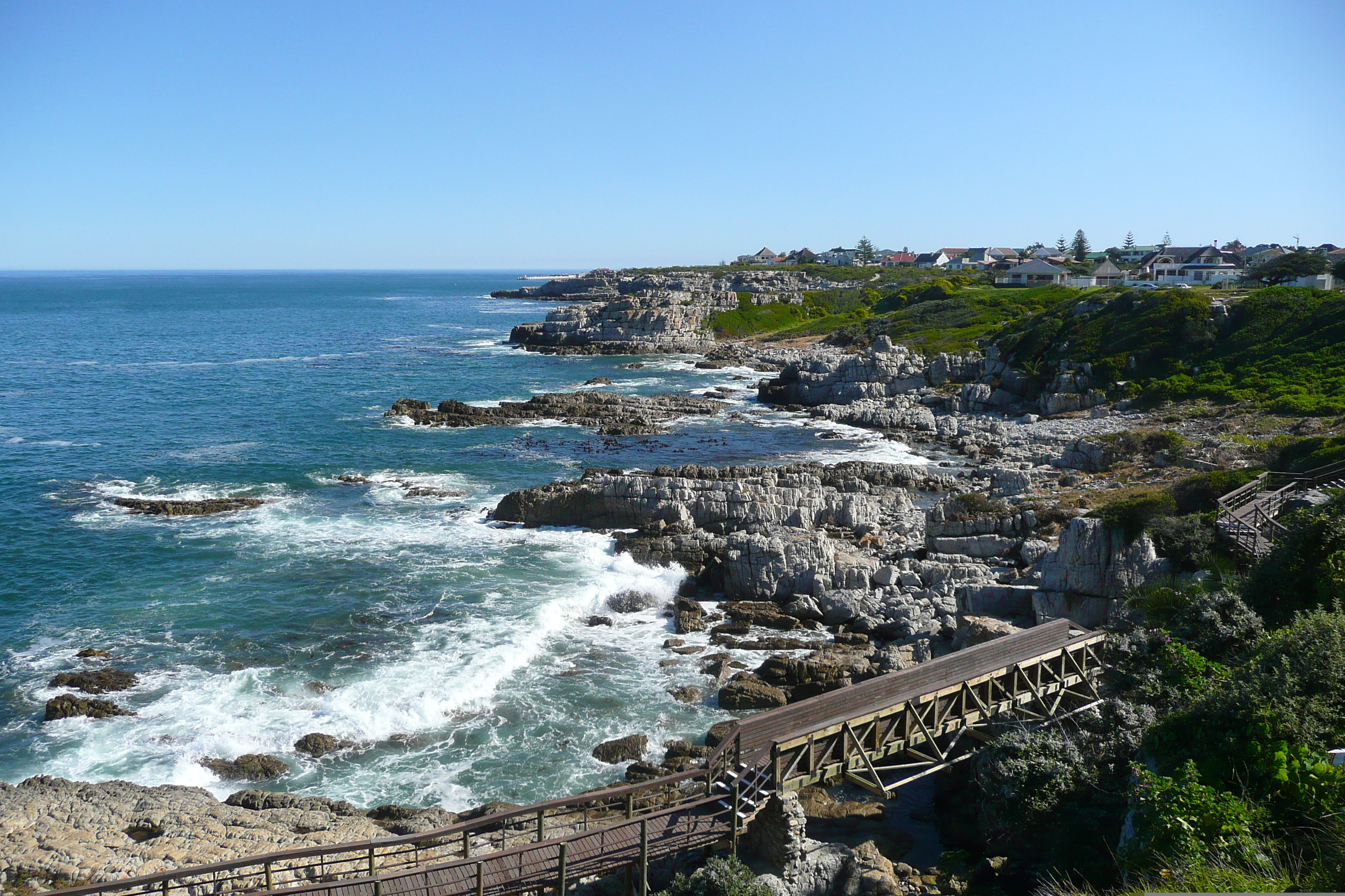 Picture South Africa Harmanus 2008-09 294 - Discovery Harmanus