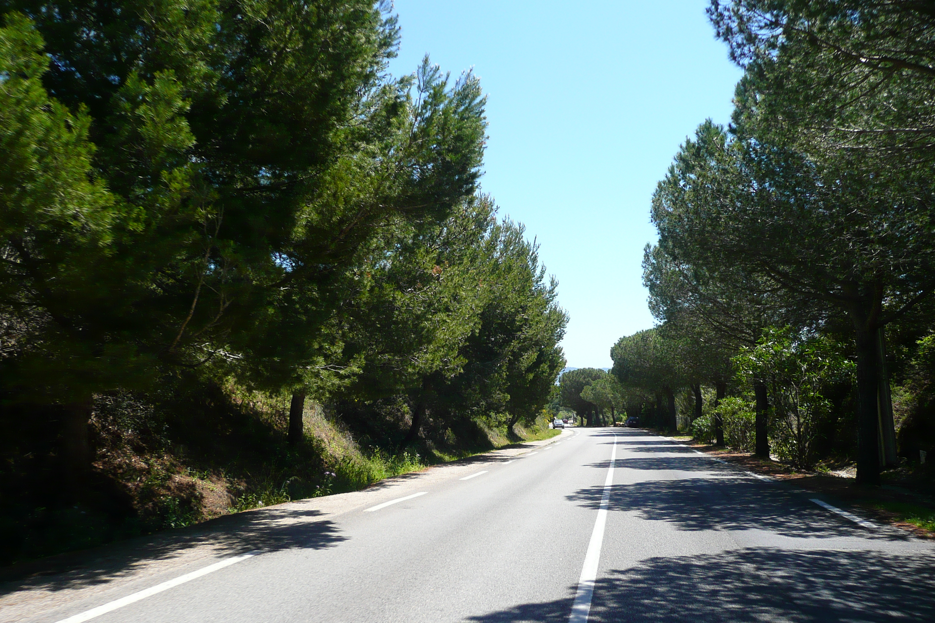 Picture France French Riviera Hyeres peninsula 2008-05 10 - Journey Hyeres peninsula