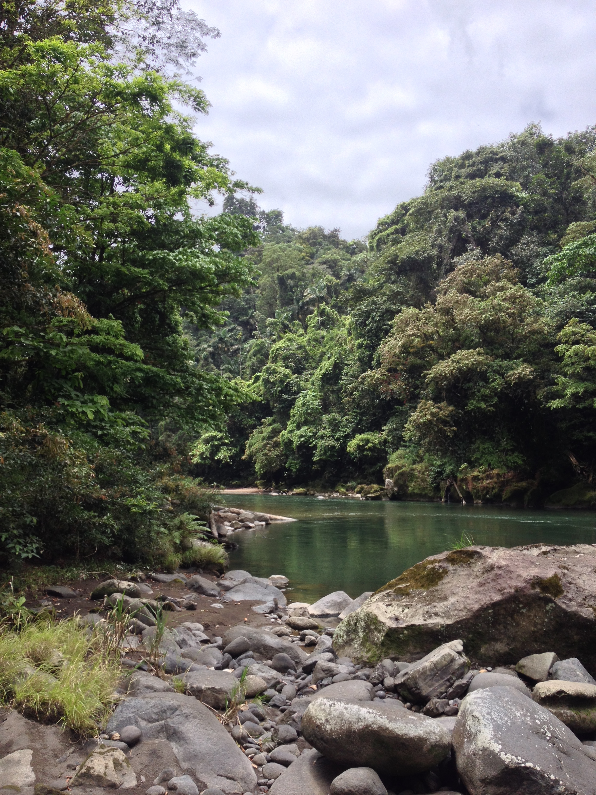 Picture Costa Rica Pacuare River 2015-03 252 - Recreation Pacuare River