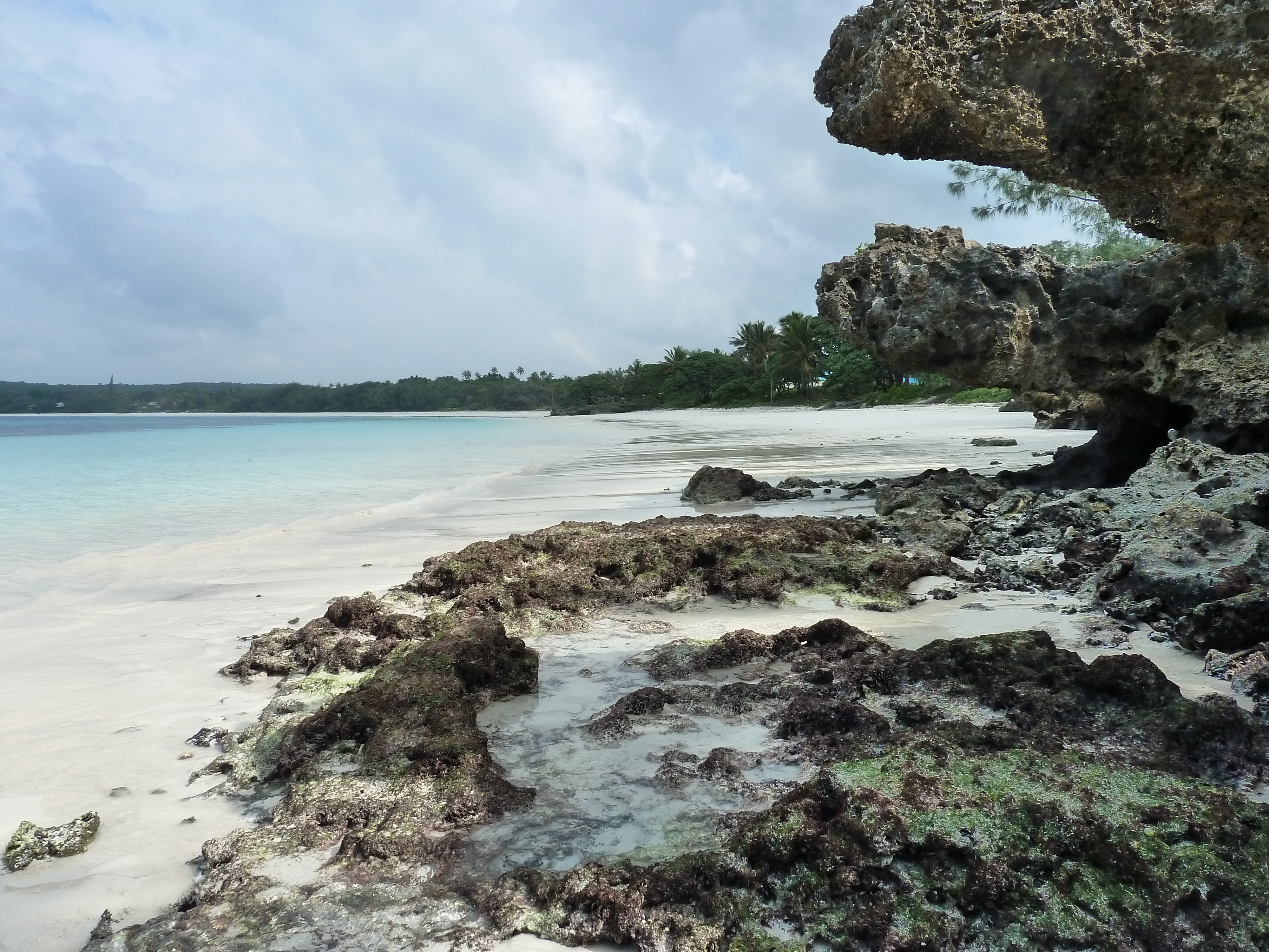 Picture New Caledonia Lifou Luecila 2010-05 51 - Journey Luecila