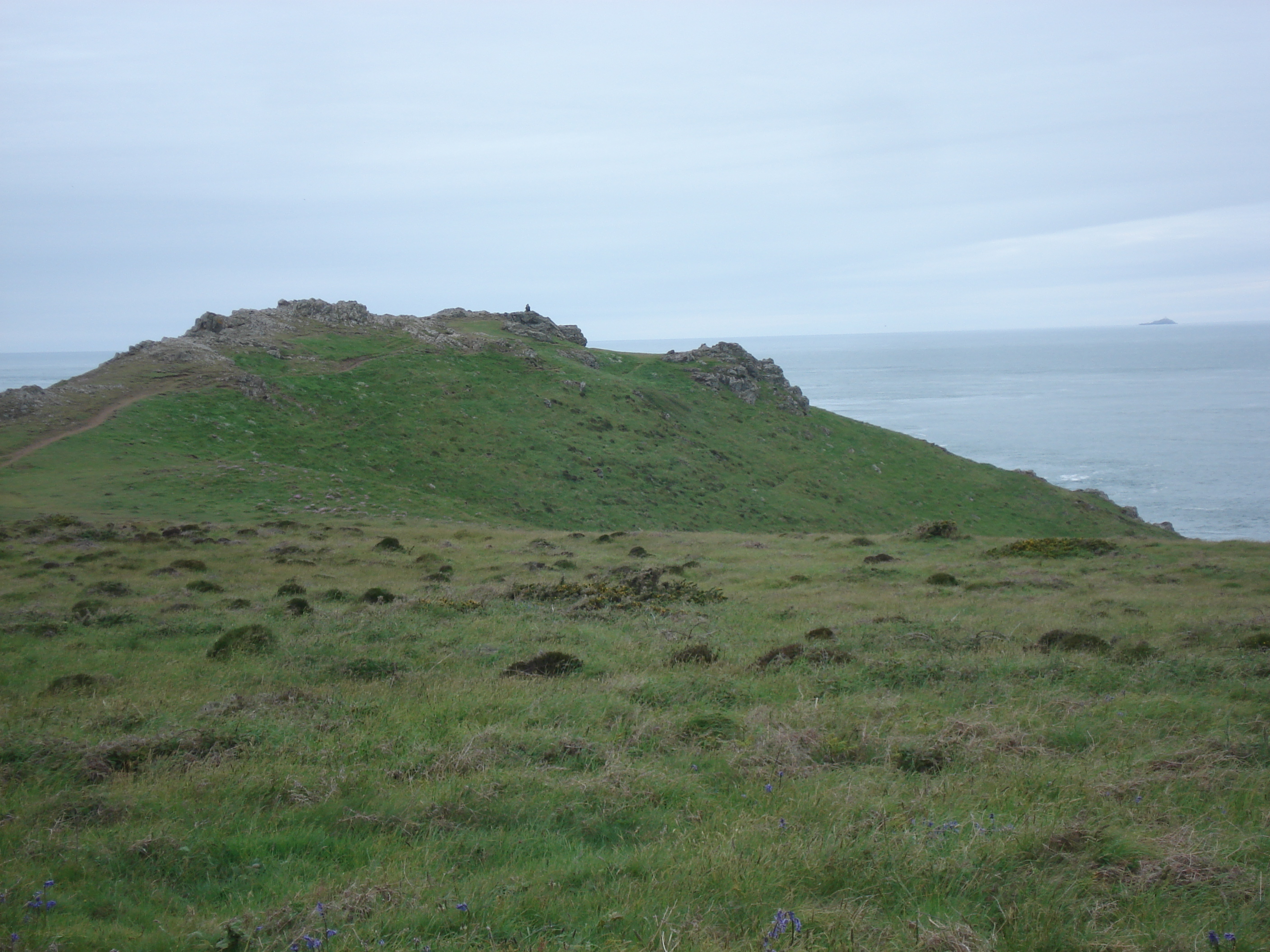 Picture United Kingdom Pembrokeshire Martins Havens 2006-05 5 - Discovery Martins Havens