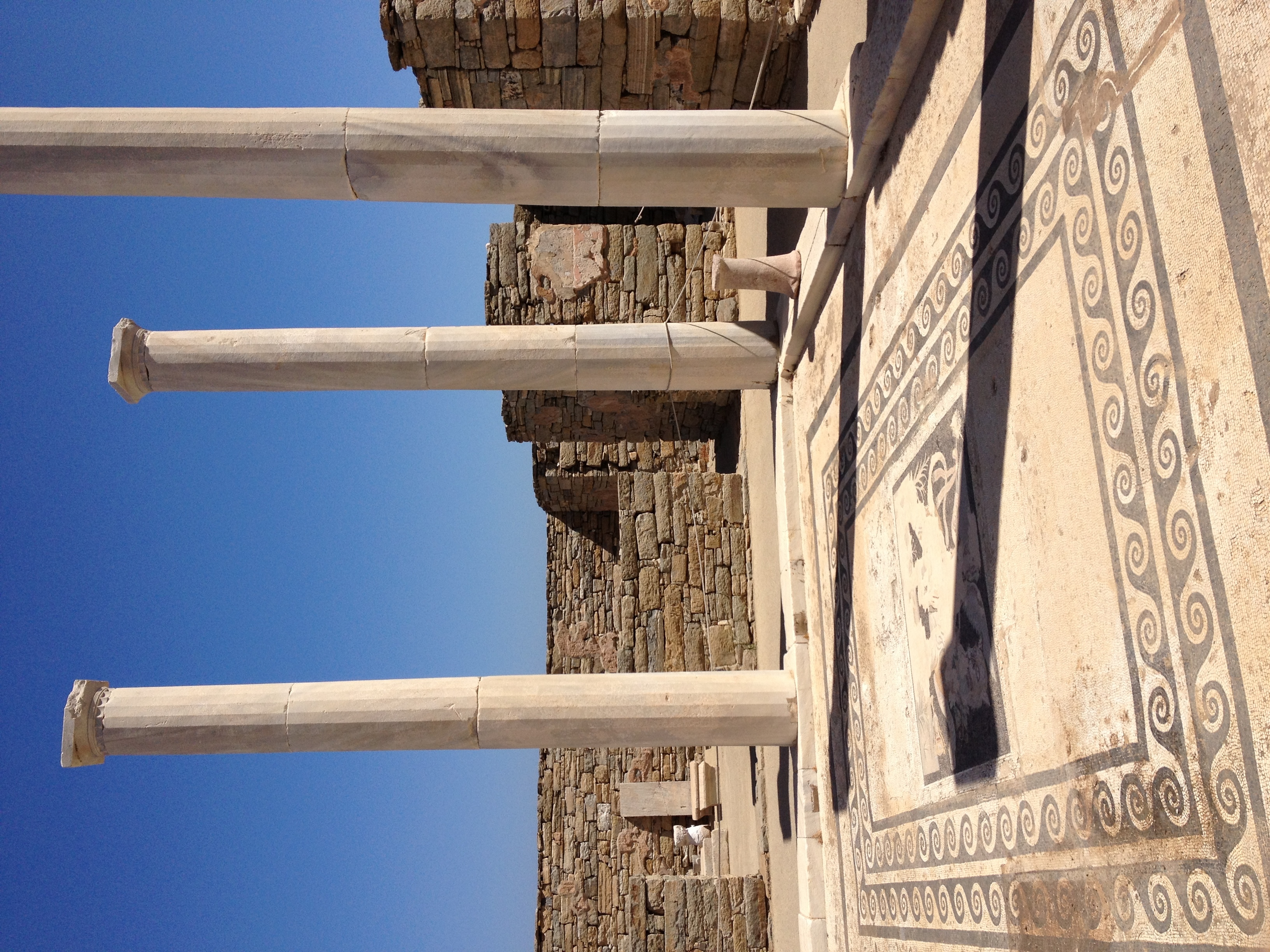 Picture Greece Delos 2014-07 191 - Discovery Delos