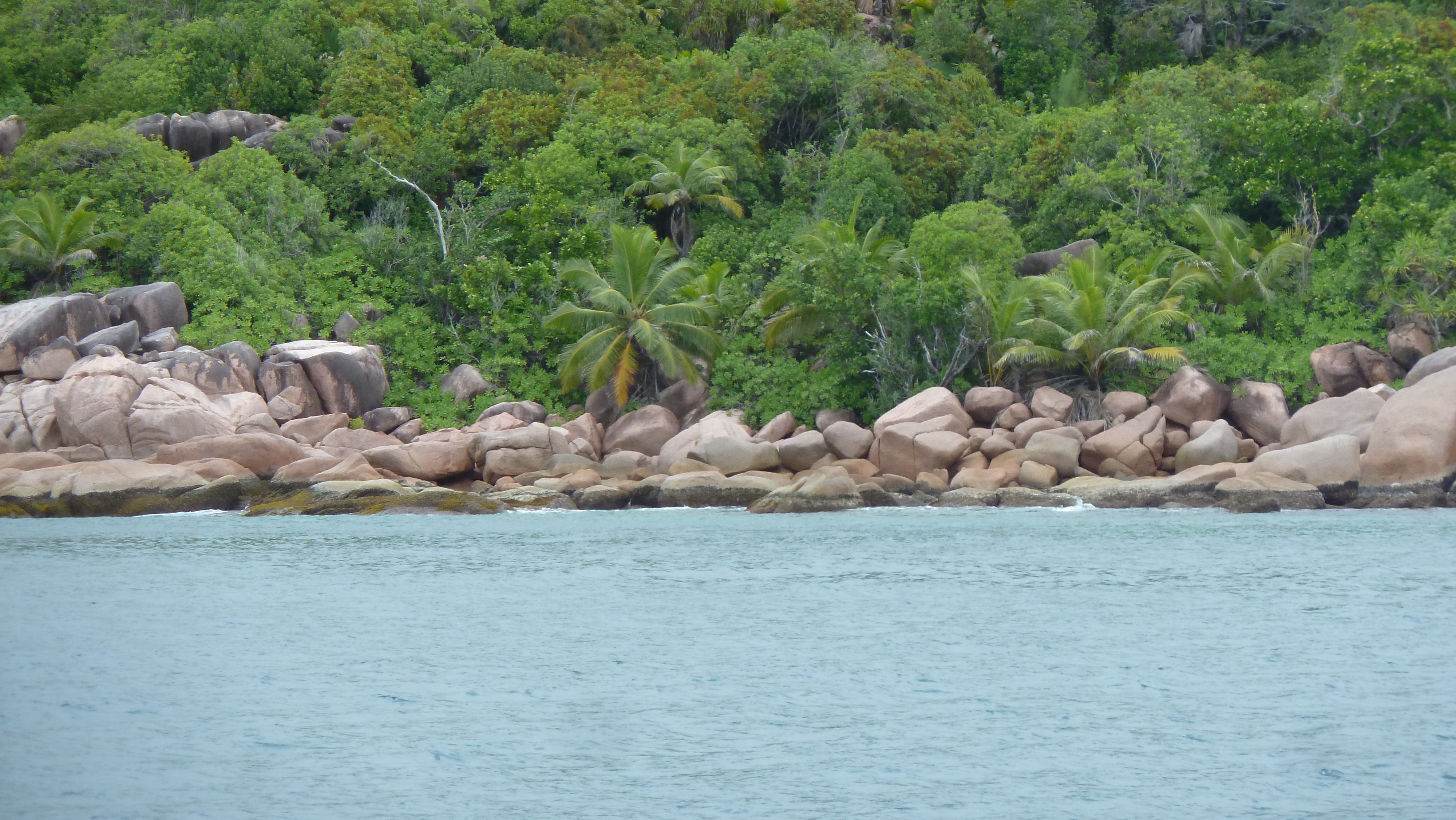 Picture Seychelles Anse Possession 2011-10 3 - Around Anse Possession