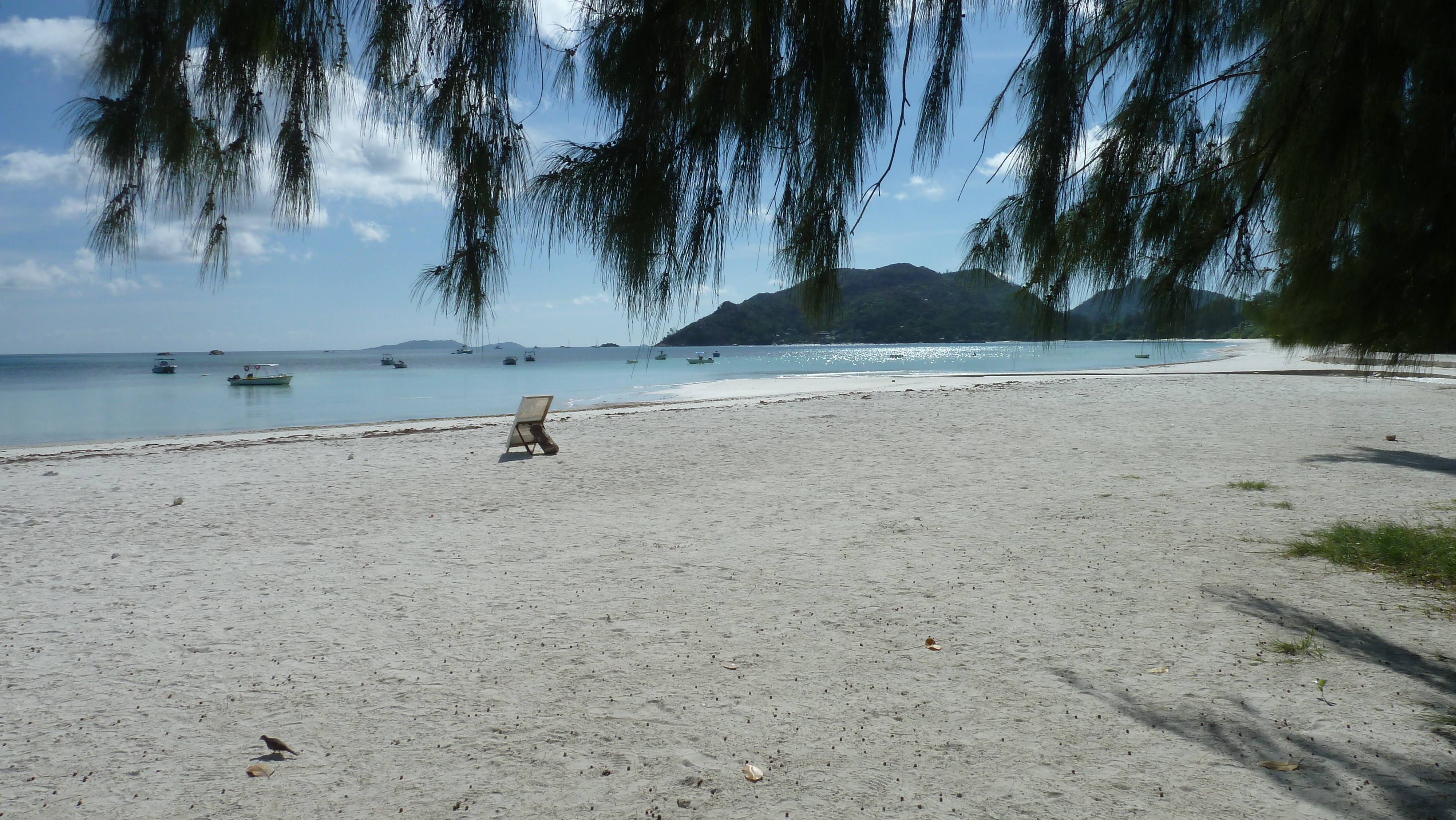 Picture Seychelles Praslin 2011-10 44 - Around Praslin