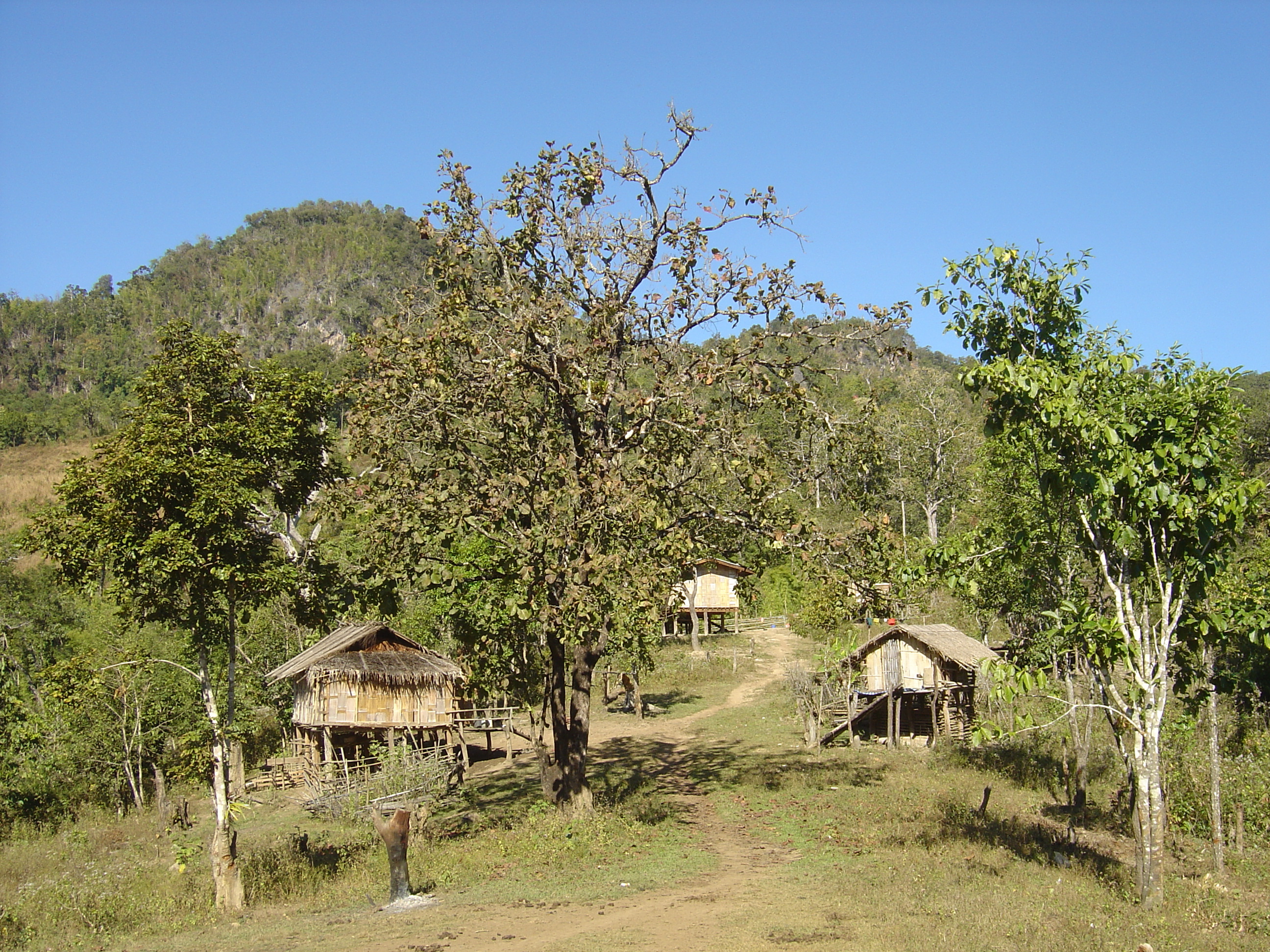 Picture Thailand Pang ma pha 2005-12 212 - Center Pang ma pha