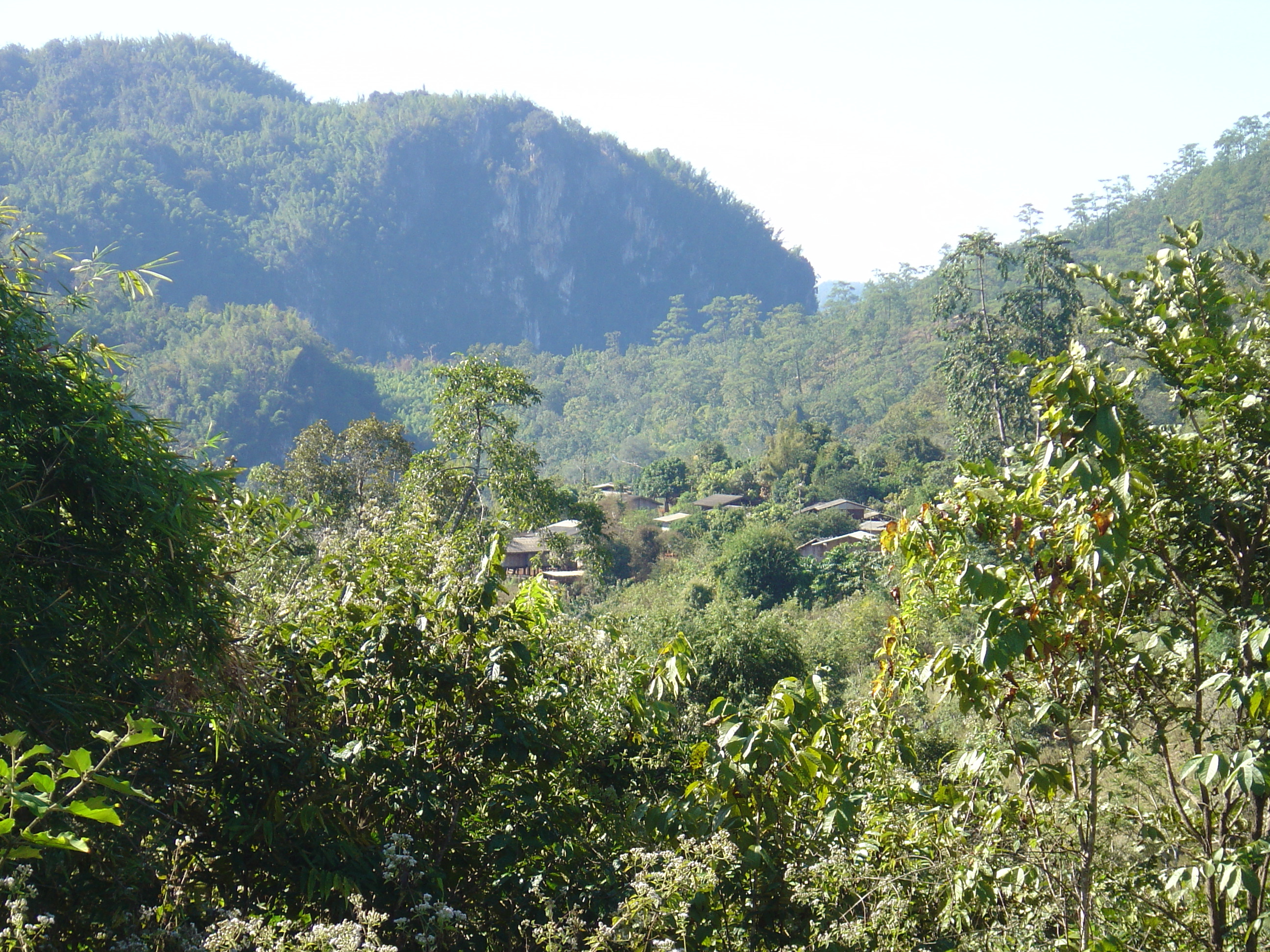 Picture Thailand Pang ma pha 2005-12 198 - Tour Pang ma pha