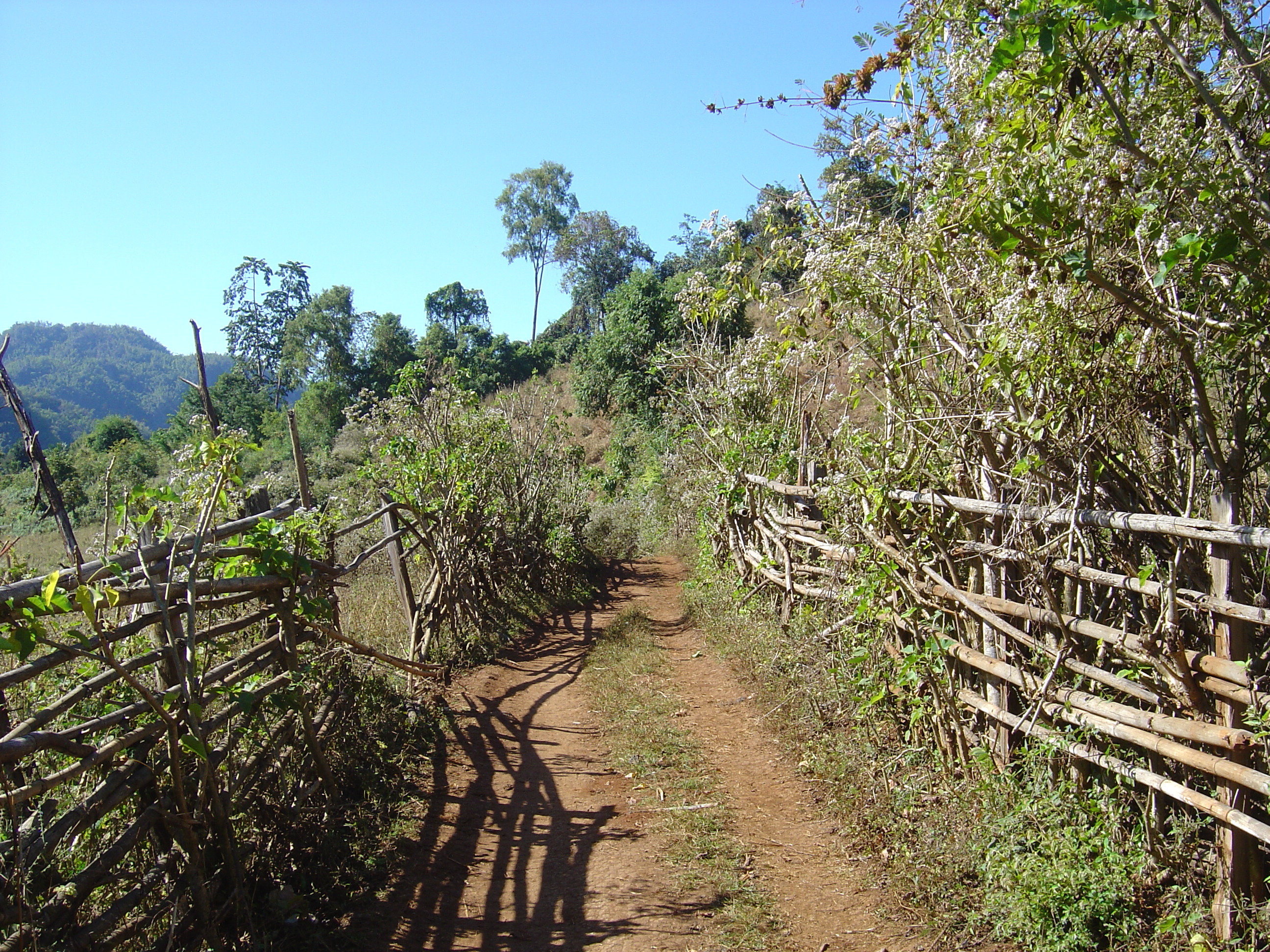 Picture Thailand Pang ma pha 2005-12 197 - Tour Pang ma pha