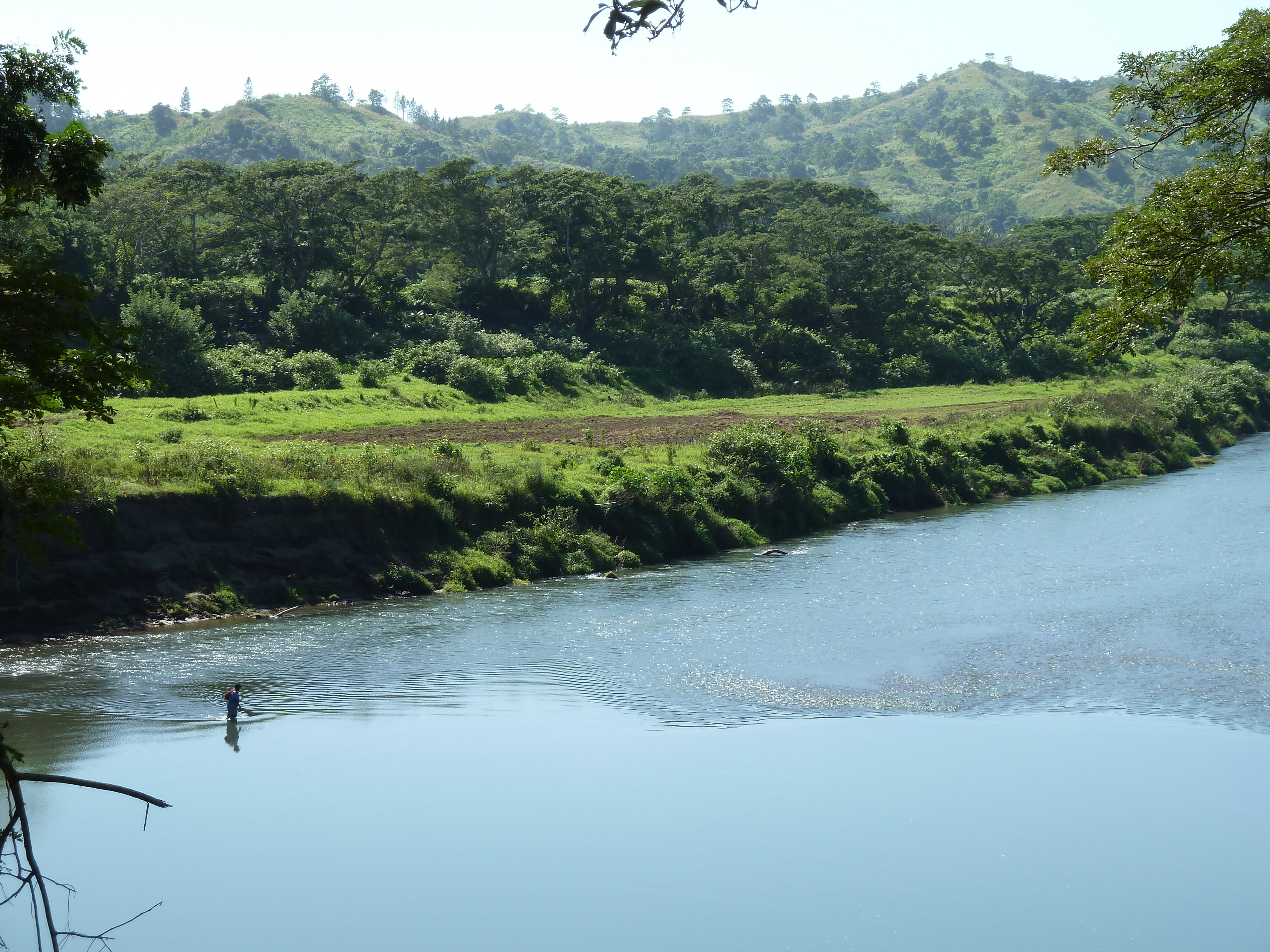 Picture Fiji Sigatoka river 2010-05 40 - Around Sigatoka river