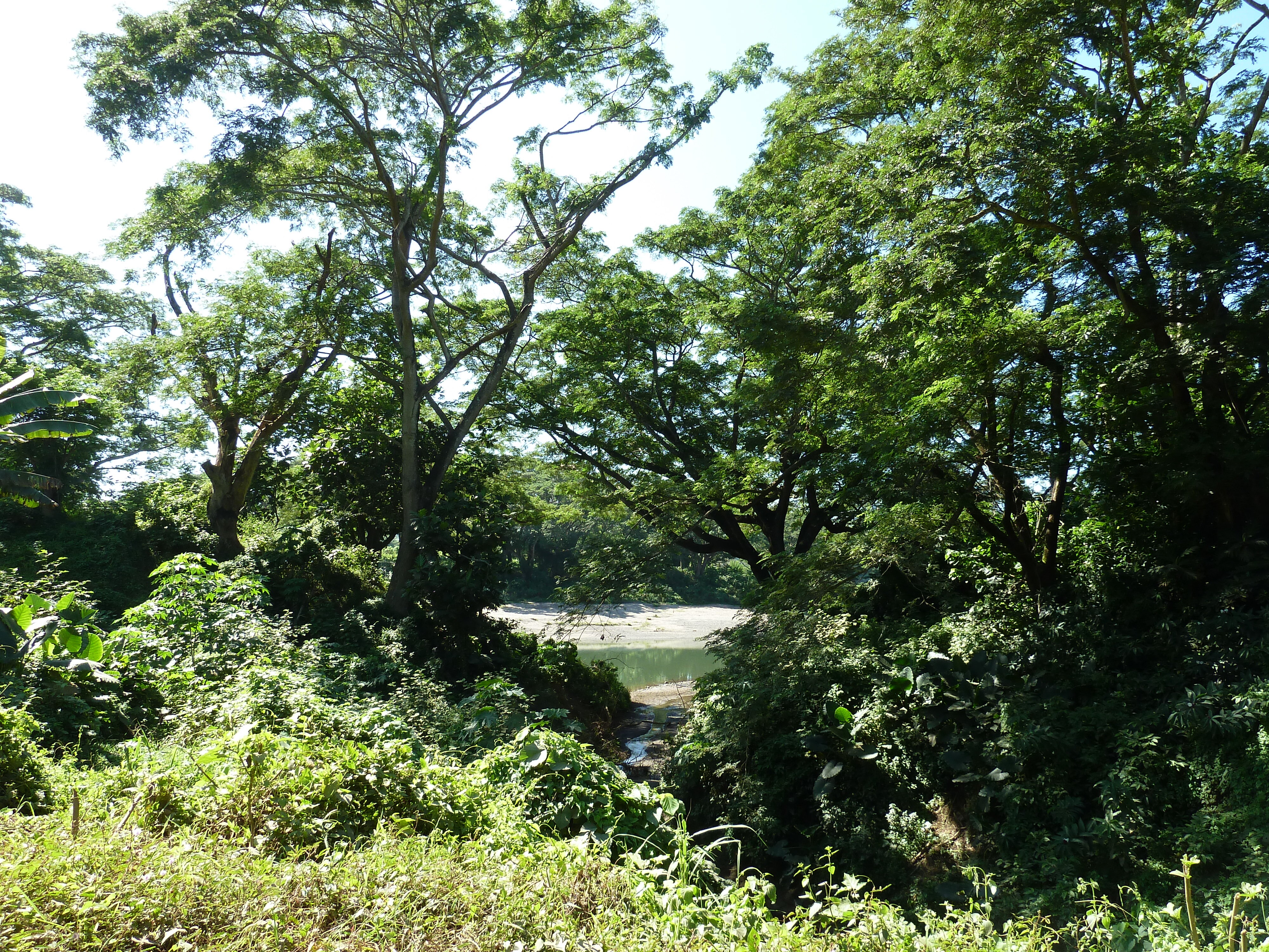 Picture Fiji Sigatoka river 2010-05 26 - History Sigatoka river